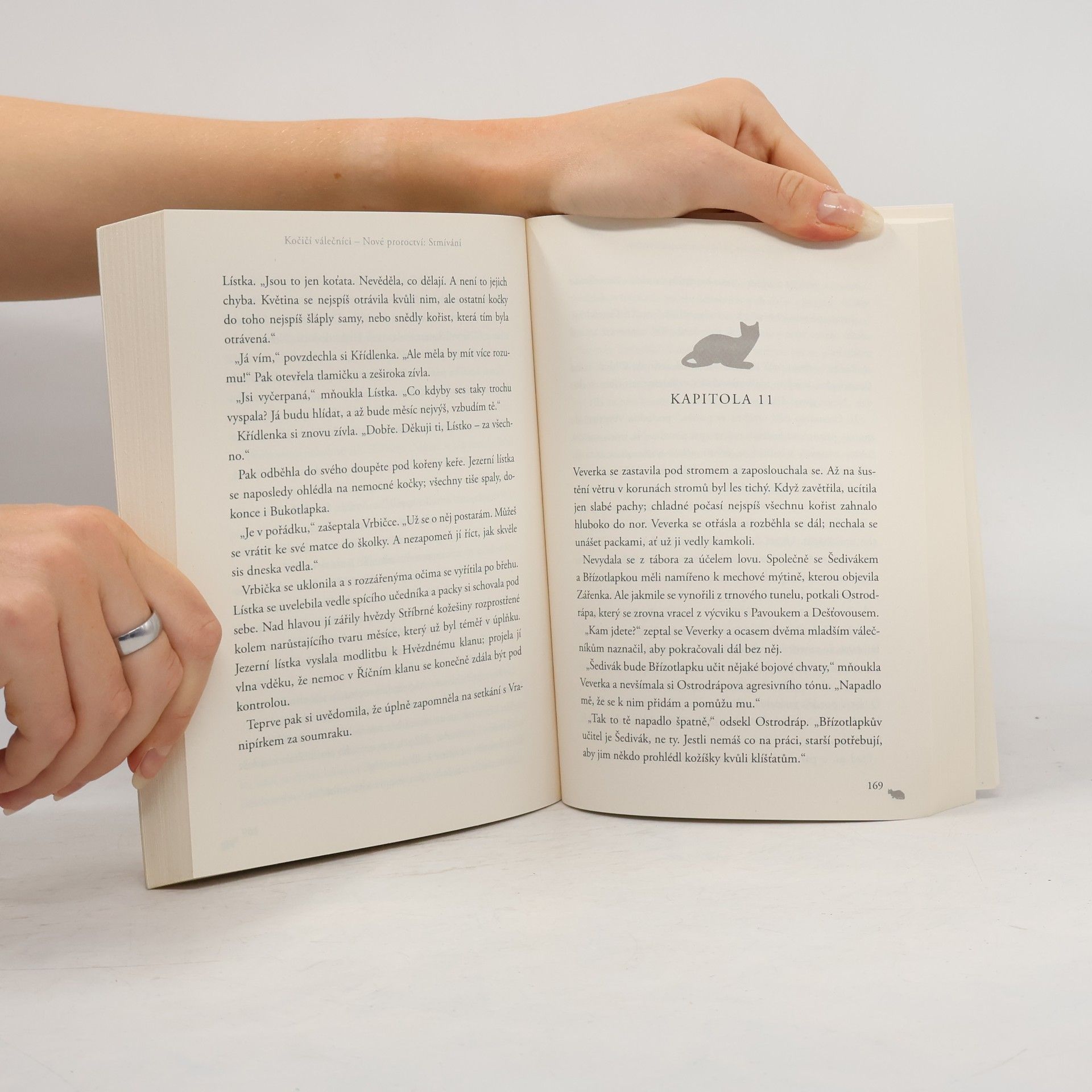 Erin Hunter Kočičí válečníci : nové proroctví. Stmívání