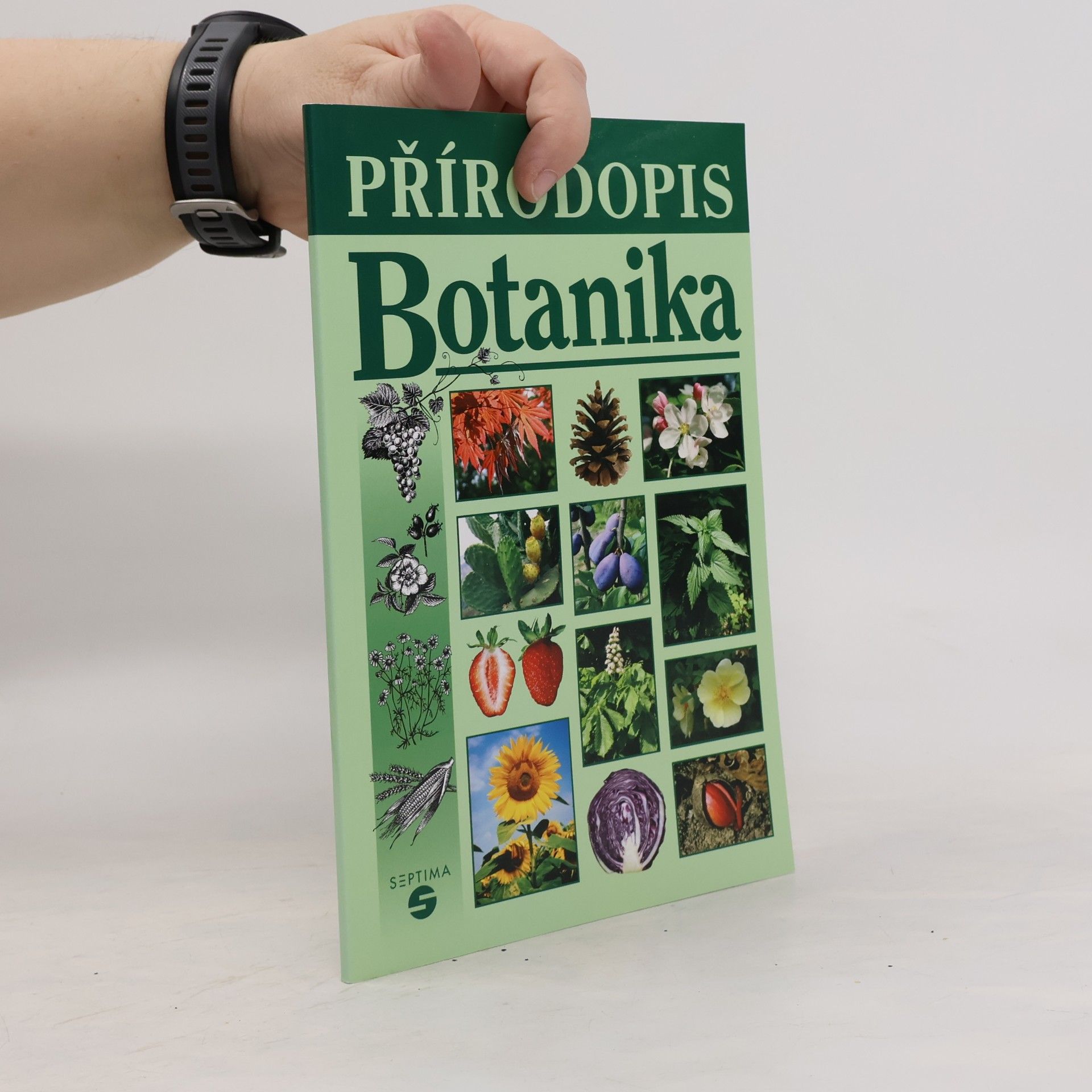 Drahuše Markvartová Přírodopis - Botanika