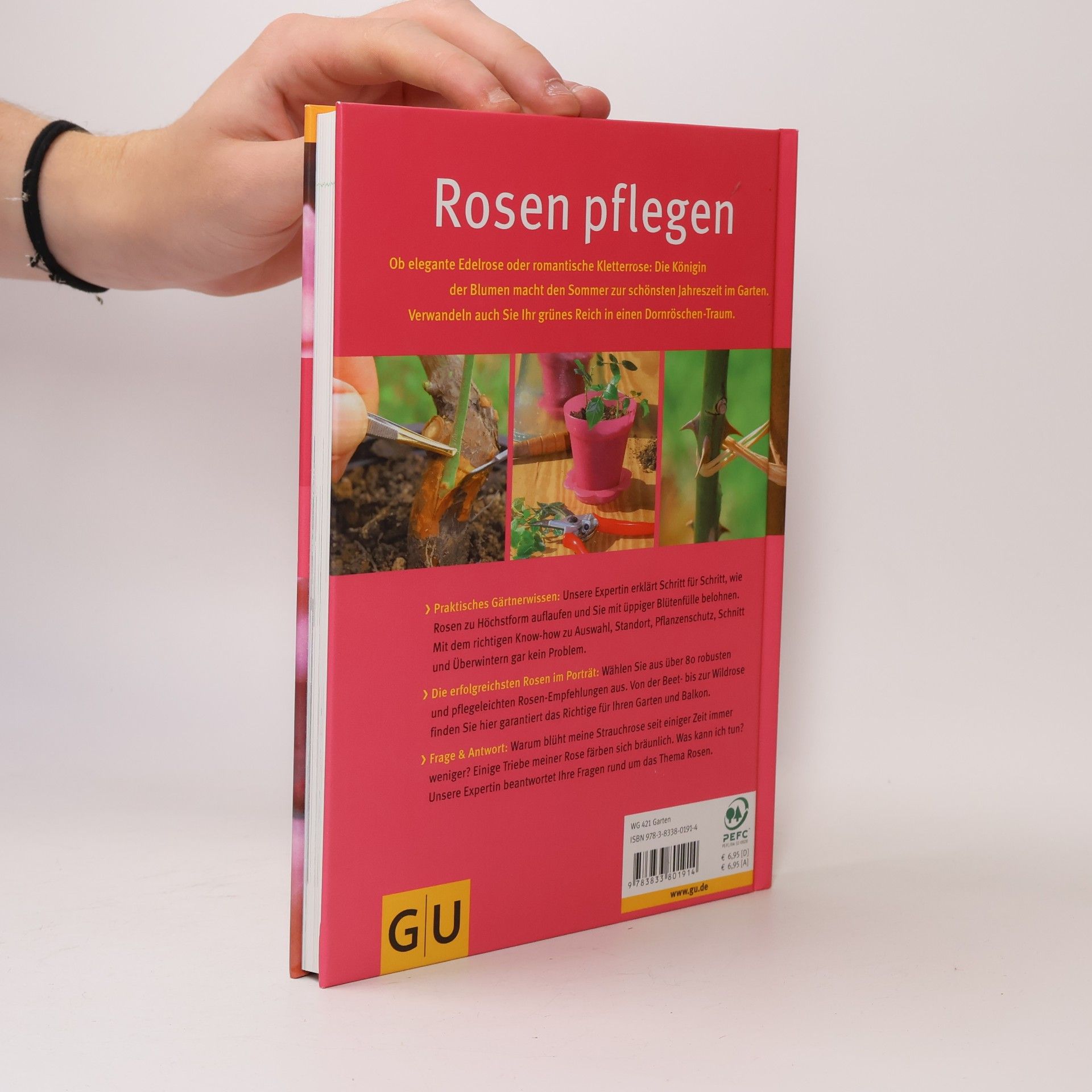 Silke Kluth Rosen pflegen