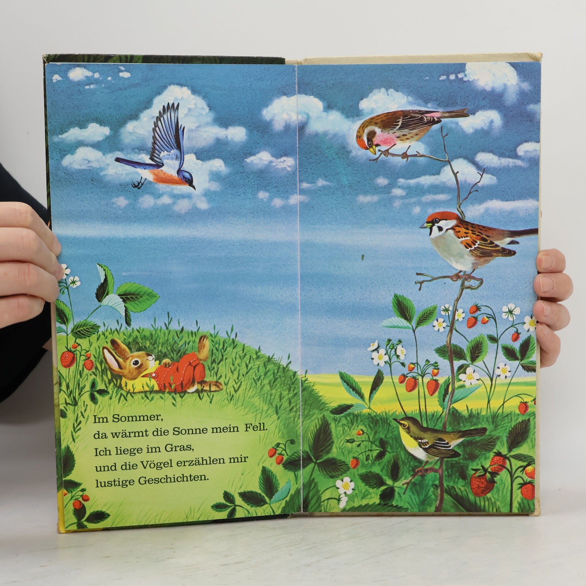 Richard Scarry Ich bin der kleine Hase