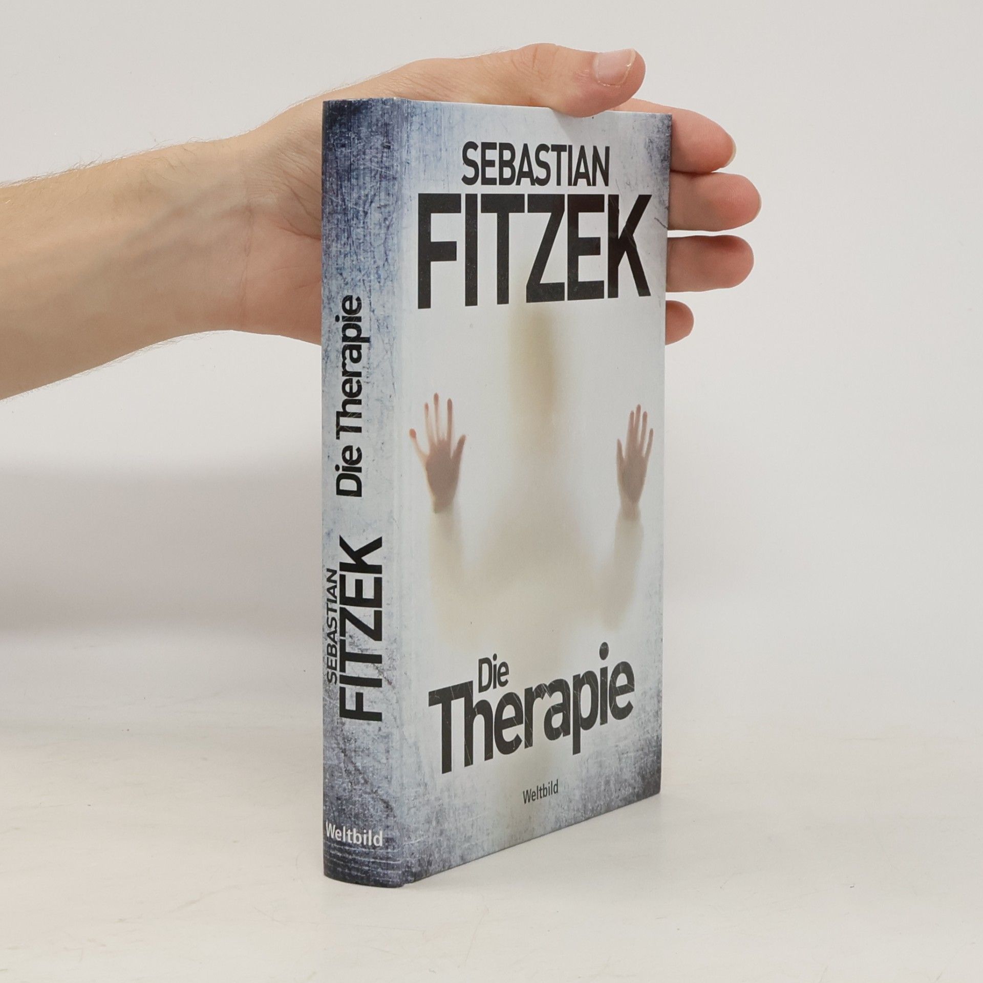 Sebastian Fitzek Die Therapie