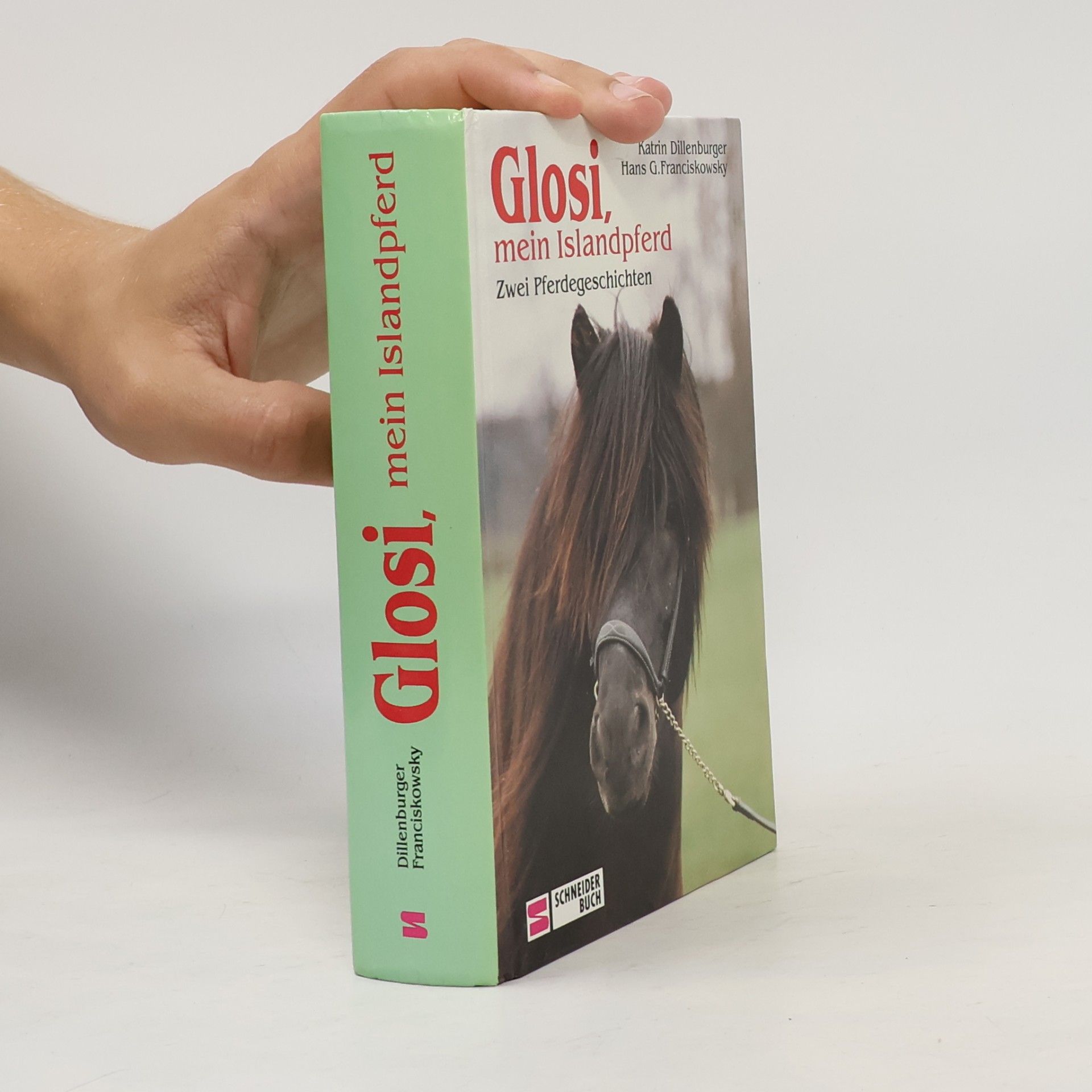Glosi, mein Islandpferd. Ausgerechnet Islandpferde!; Glosi, mein Islandpferd. 2 Pferdegeschichten in 1 Bd.