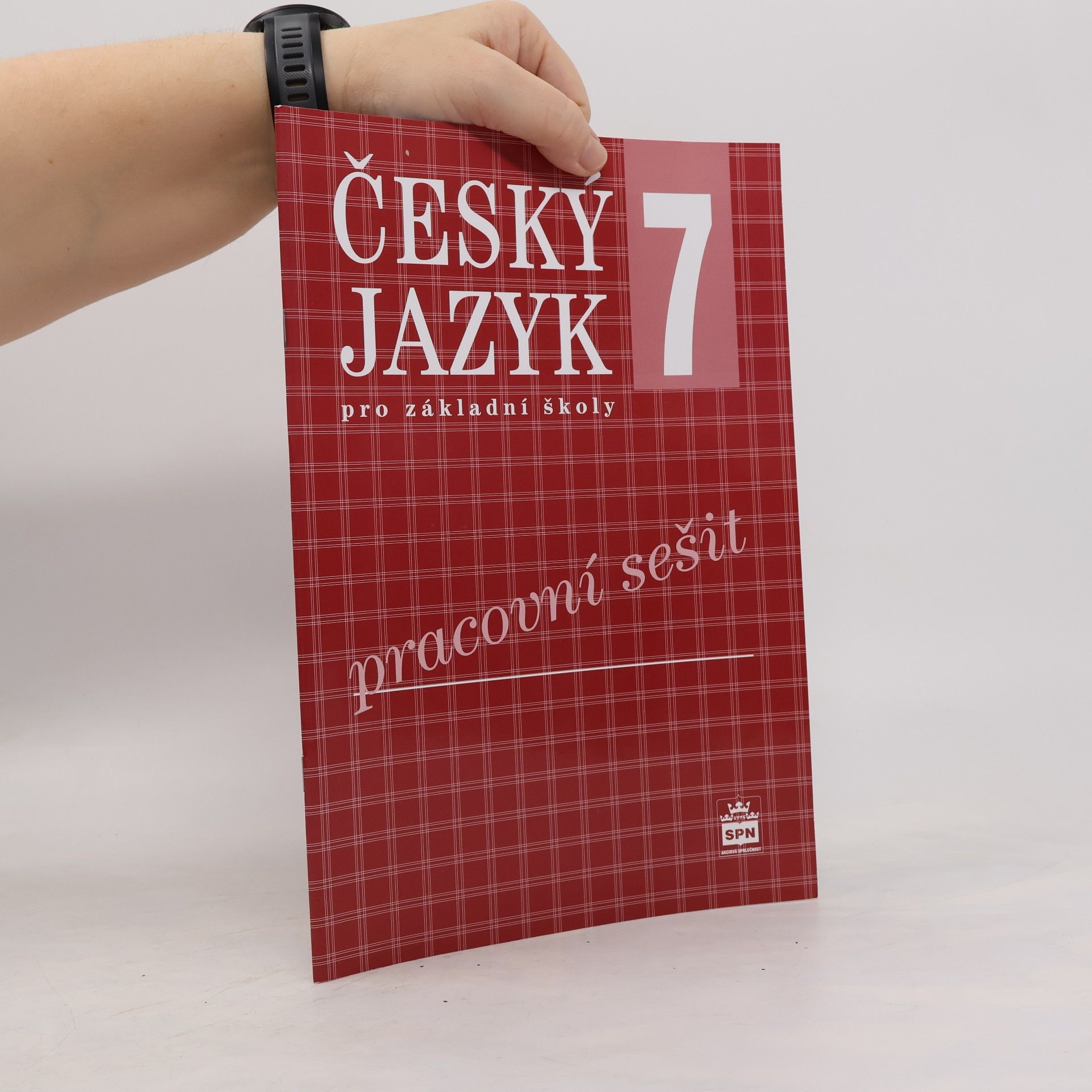 Český jazyk 7 pro ZŠ pracovní sešit