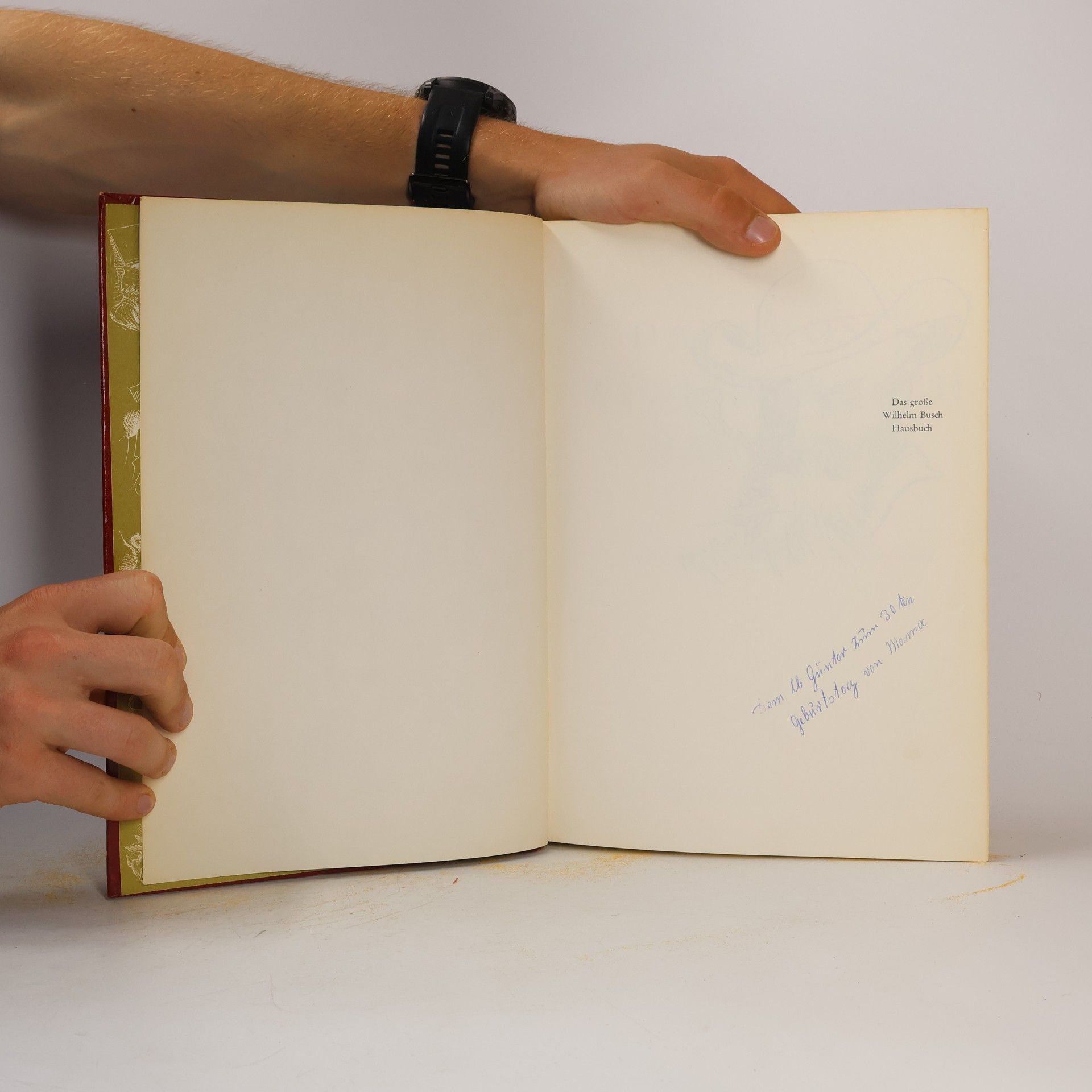 Autorenkollektiv Das grosse Wilhelm Busch HAusbuch