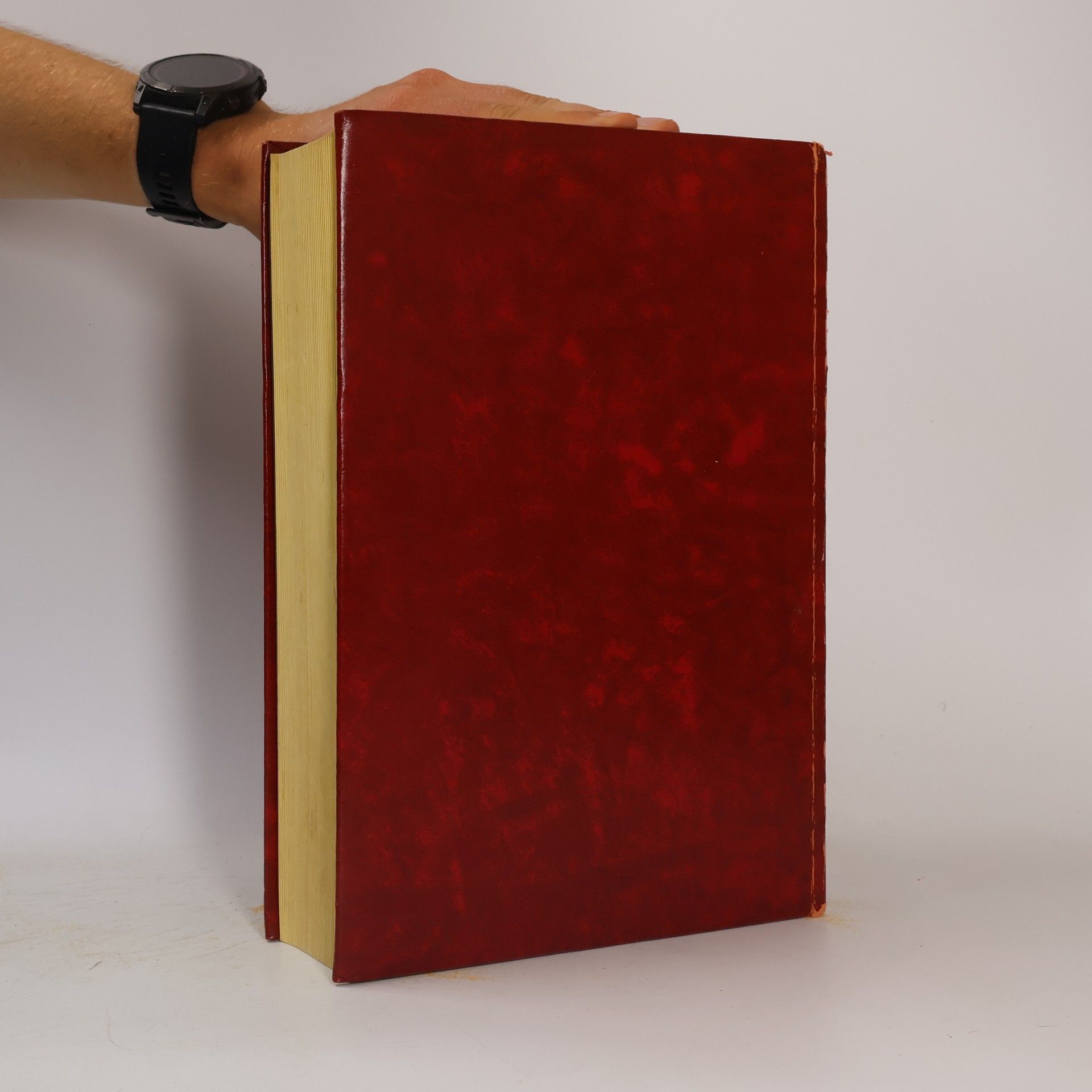Autorenkollektiv Das grosse Wilhelm Busch HAusbuch