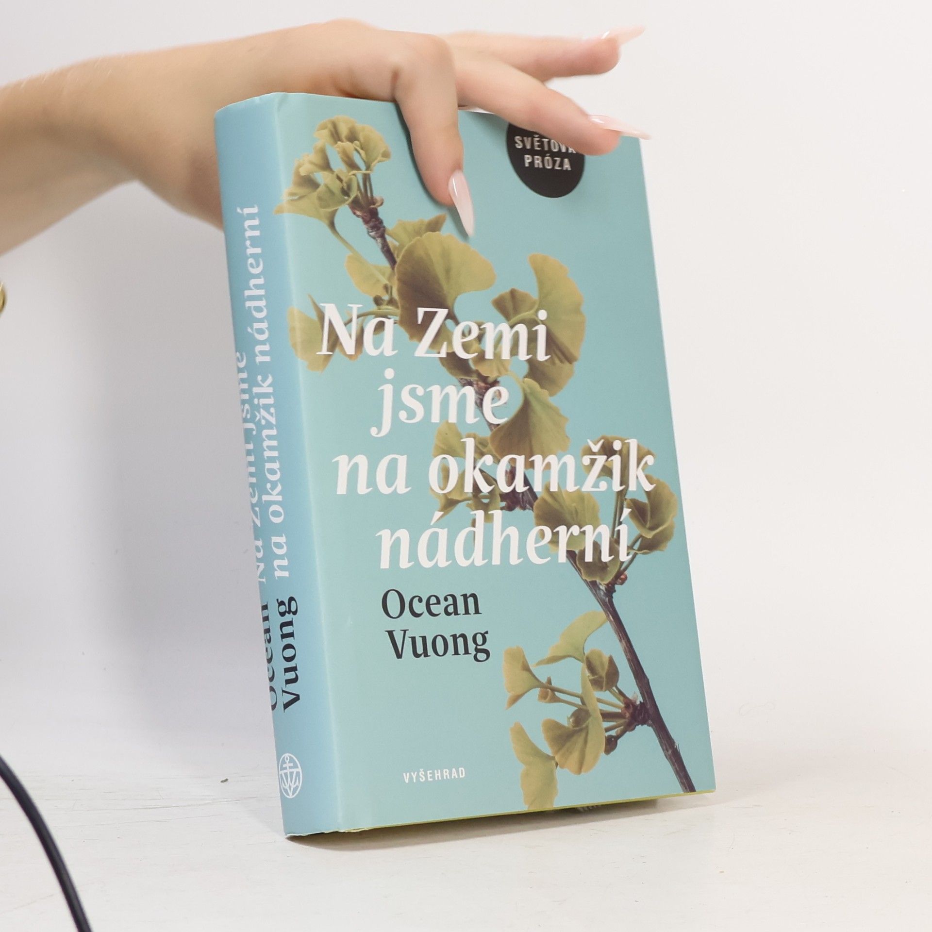 Ocean Vuong Na Zemi jsme na okamžik nádherní