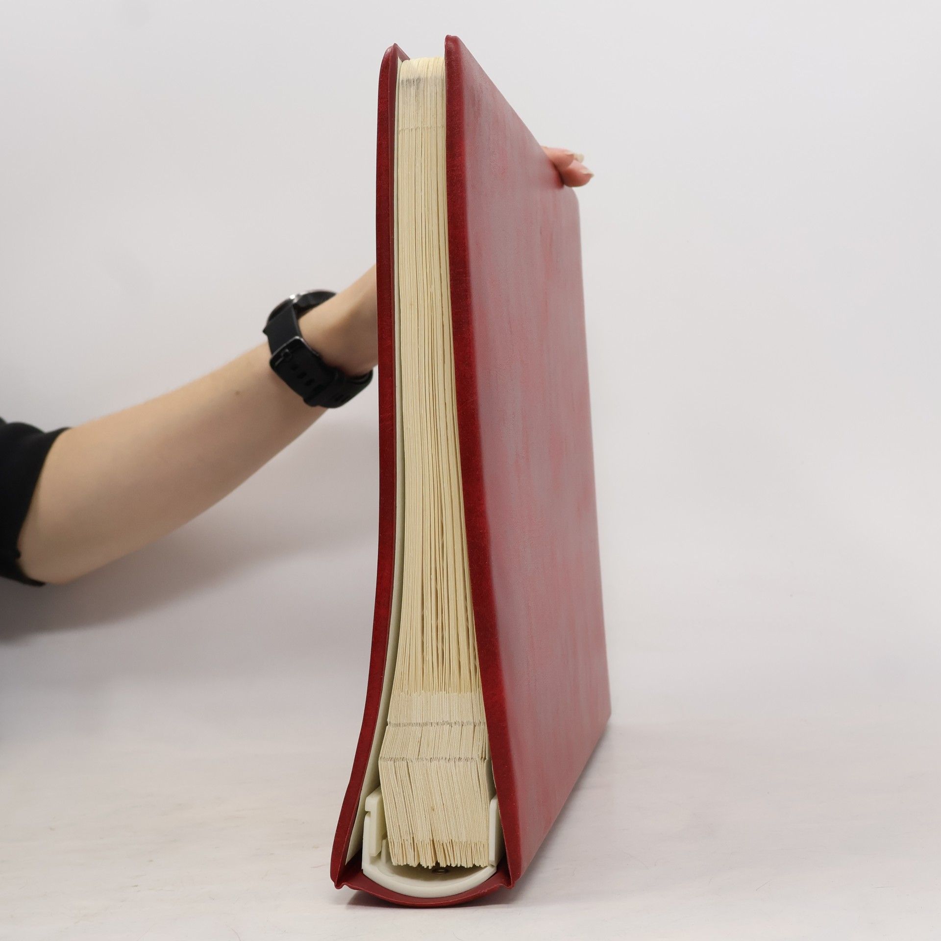 Autorenkollektiv Niederösterreich Archiv