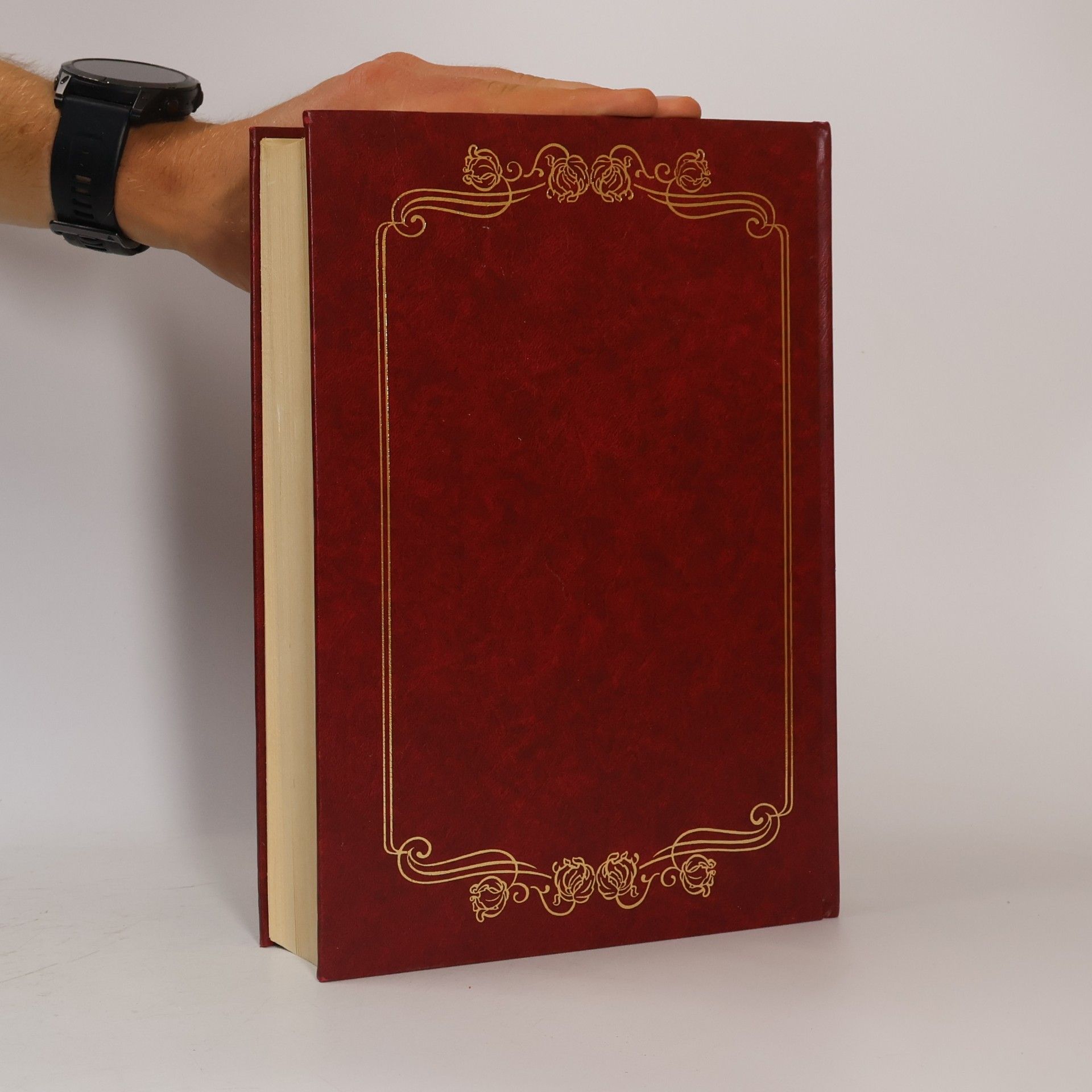 kolektiv Das Buch der Balladen