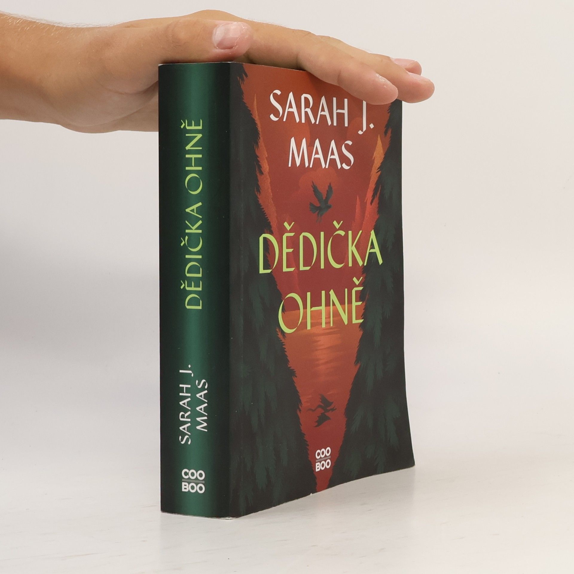 Sarah J. Maasová Dědička ohně