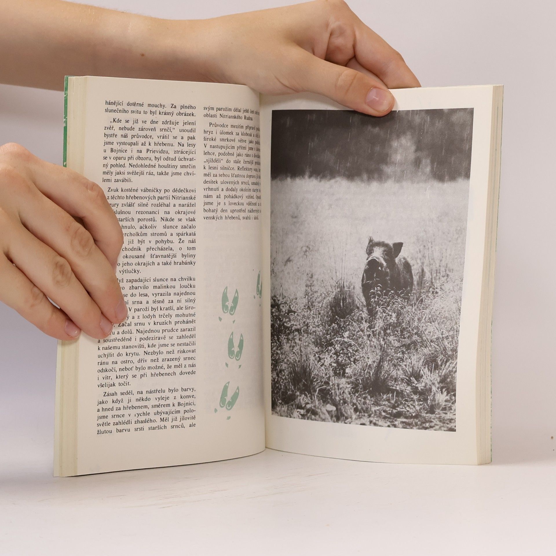 Autores varios Myslivecký kalendář 1989