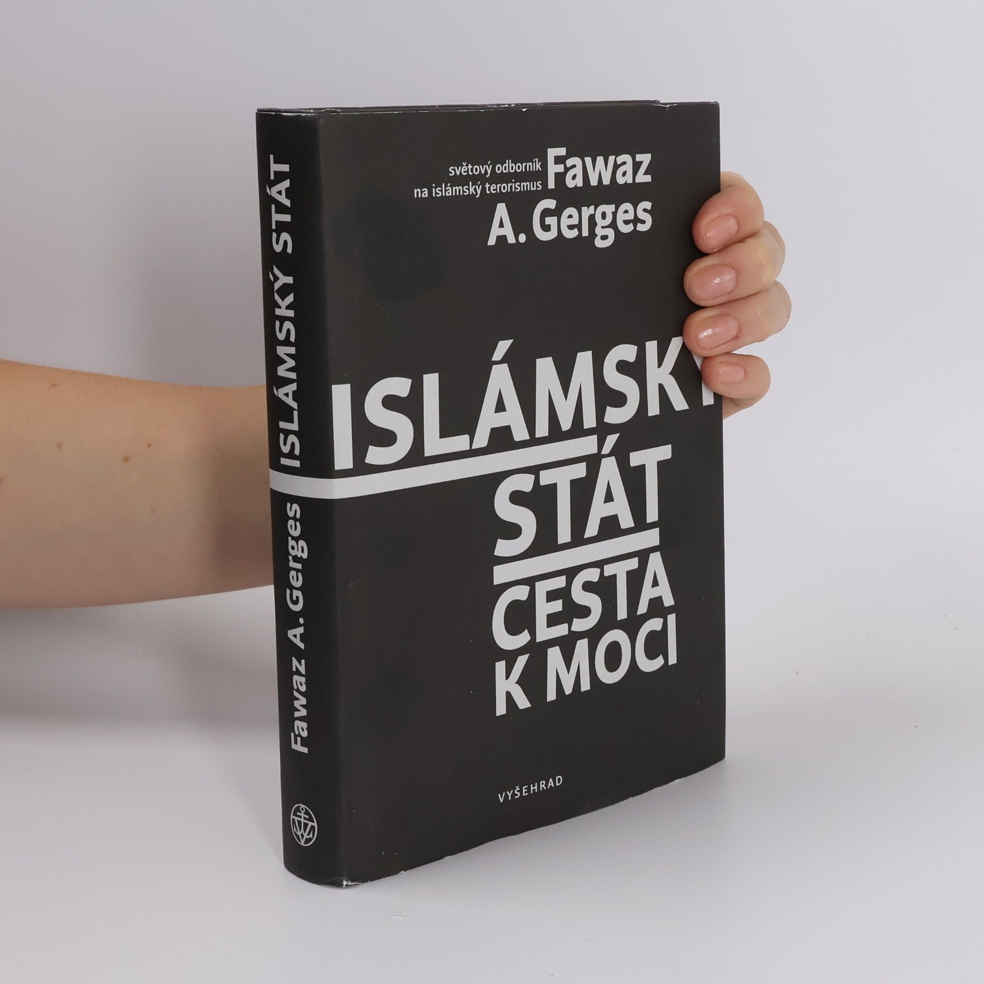 Fawaz A. Gerges Islámský stát : cesta k moci
