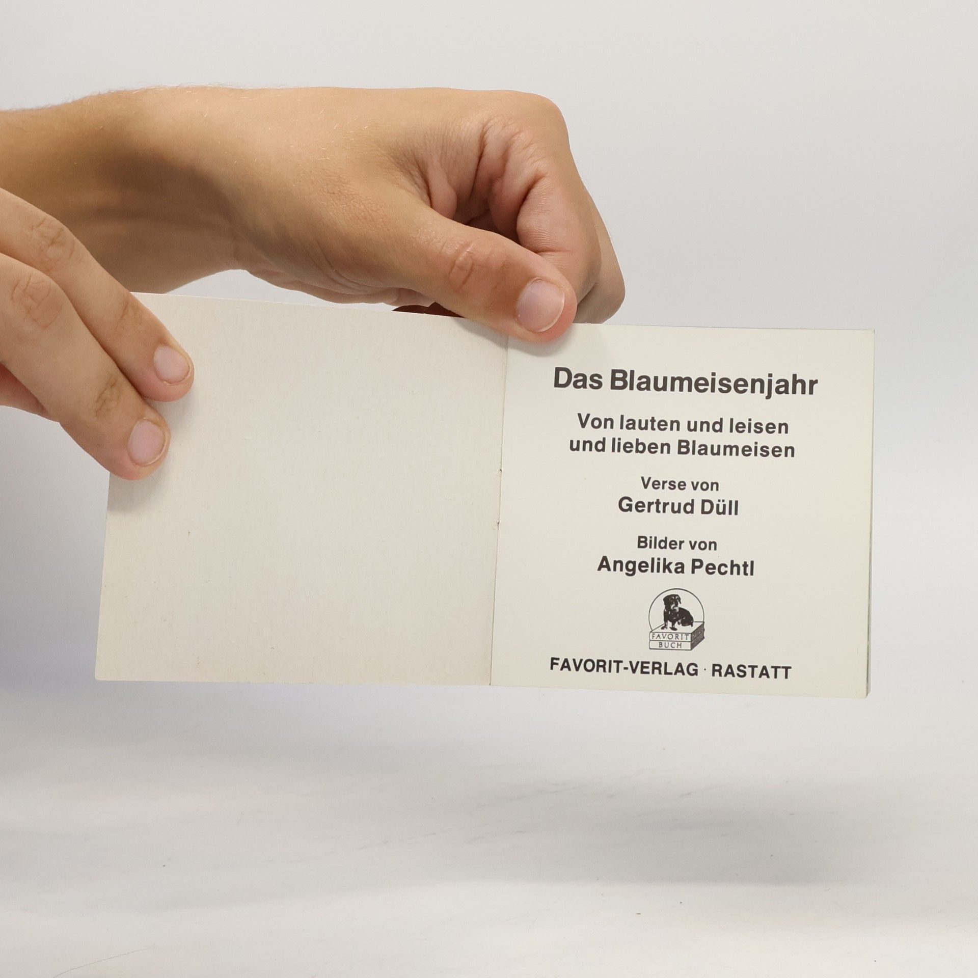 Gertrud Düll Das Blaumeisenjahr