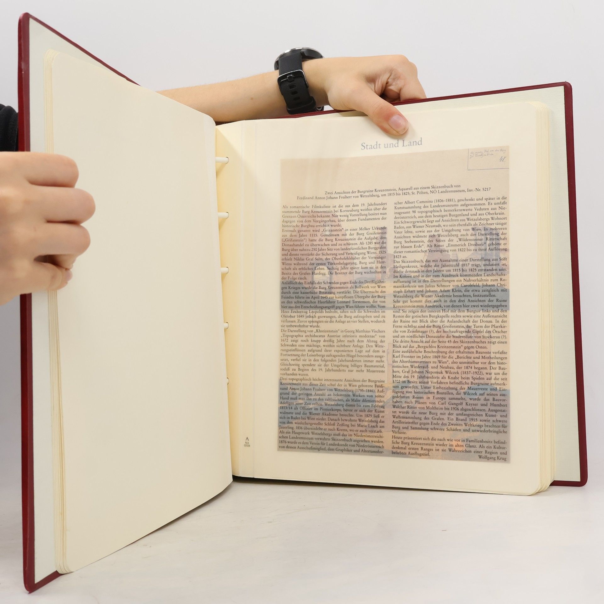 Various authors Niederösterreich Archiv