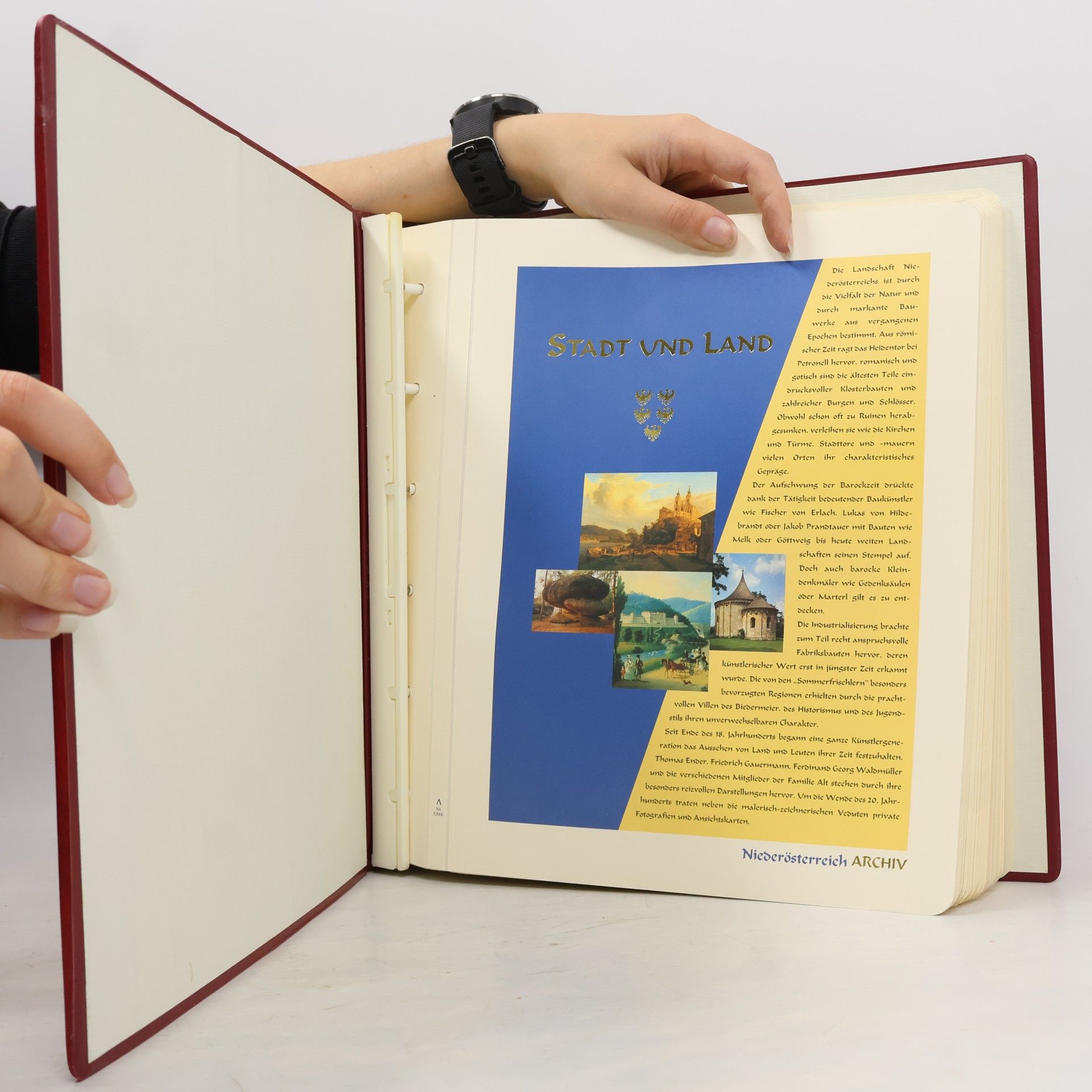 Various authors Niederösterreich Archiv