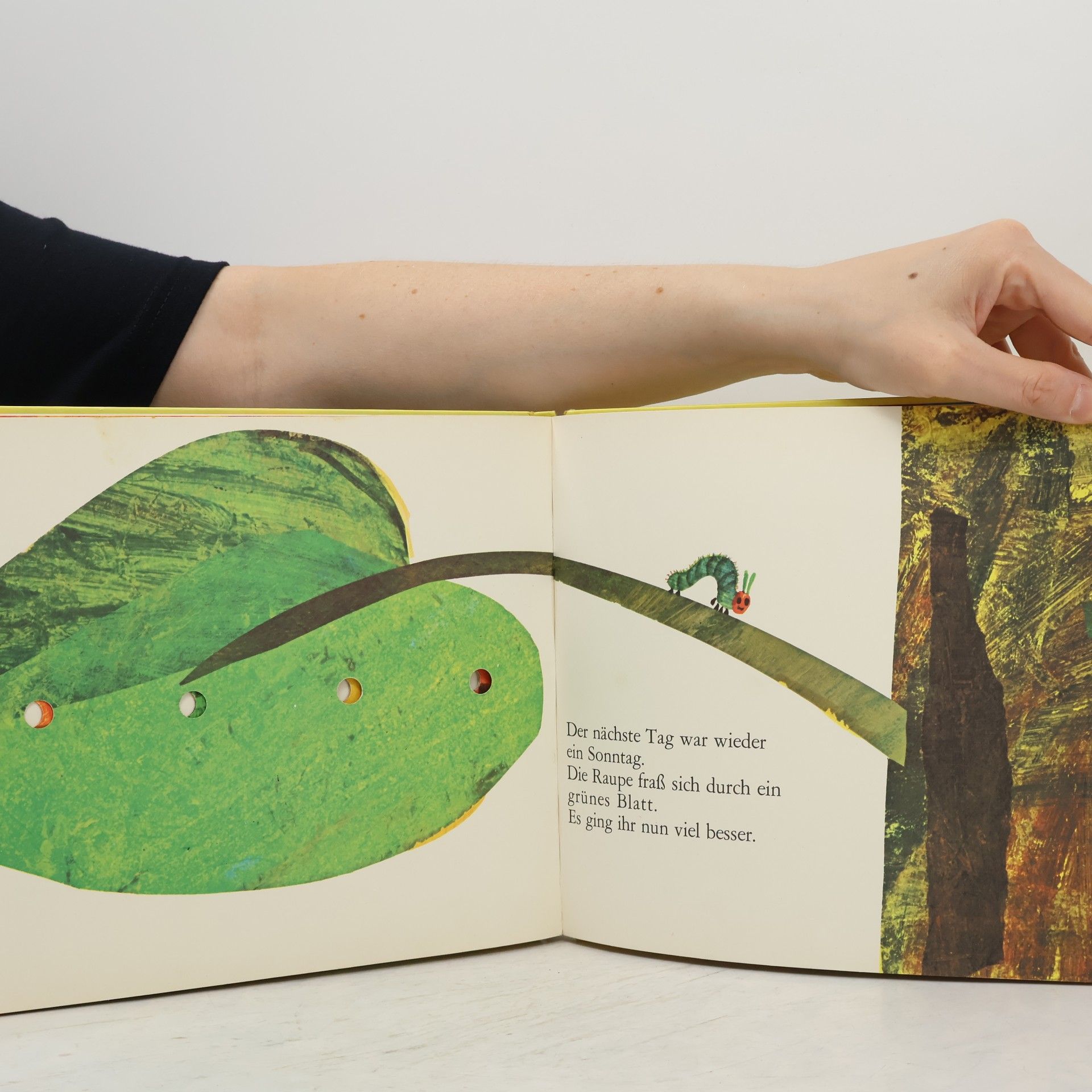 Eric Carle Die kleine Raupe Nimmersatt