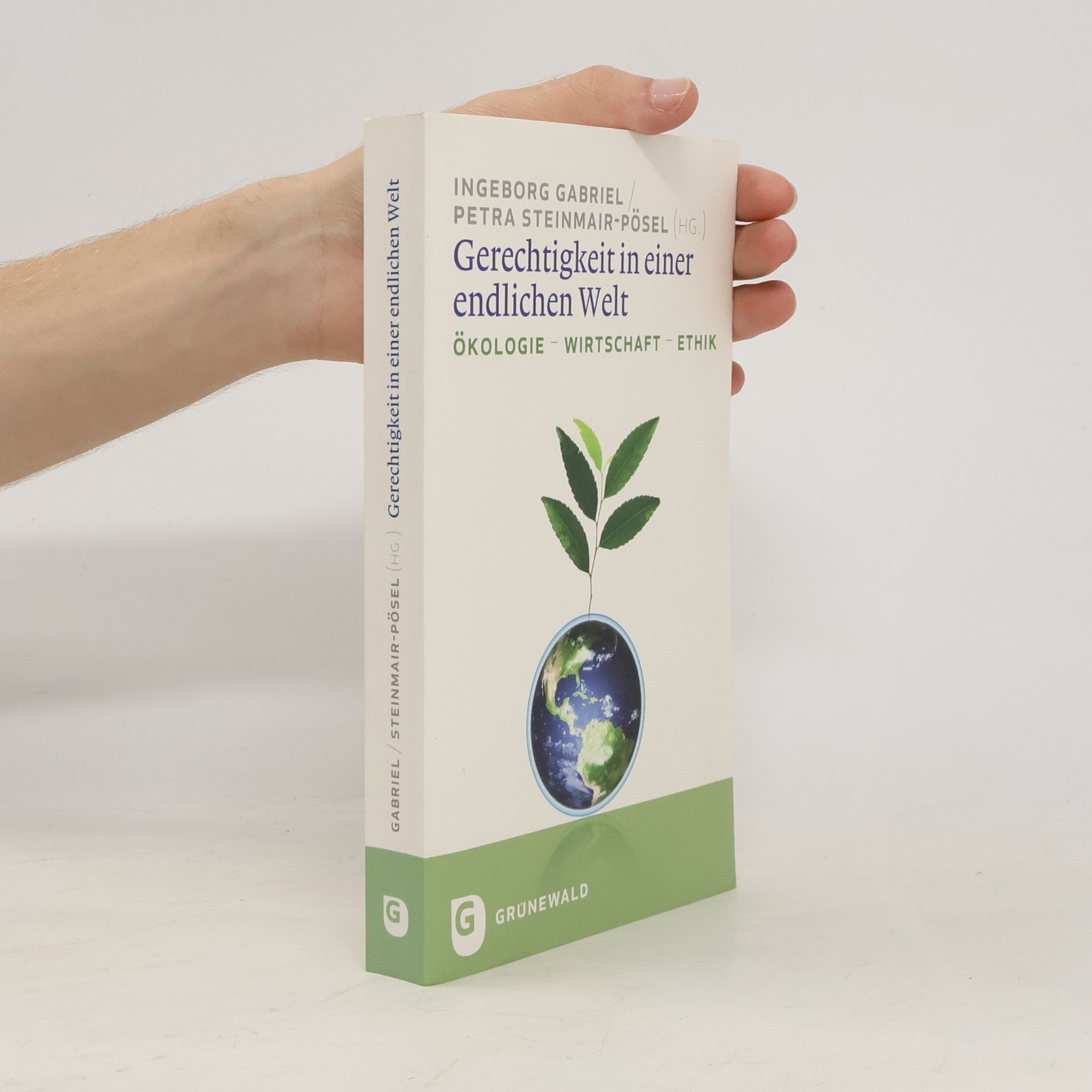 Petra Steinmair-Pösel Gerechtigkeit in einer endlichen Welt