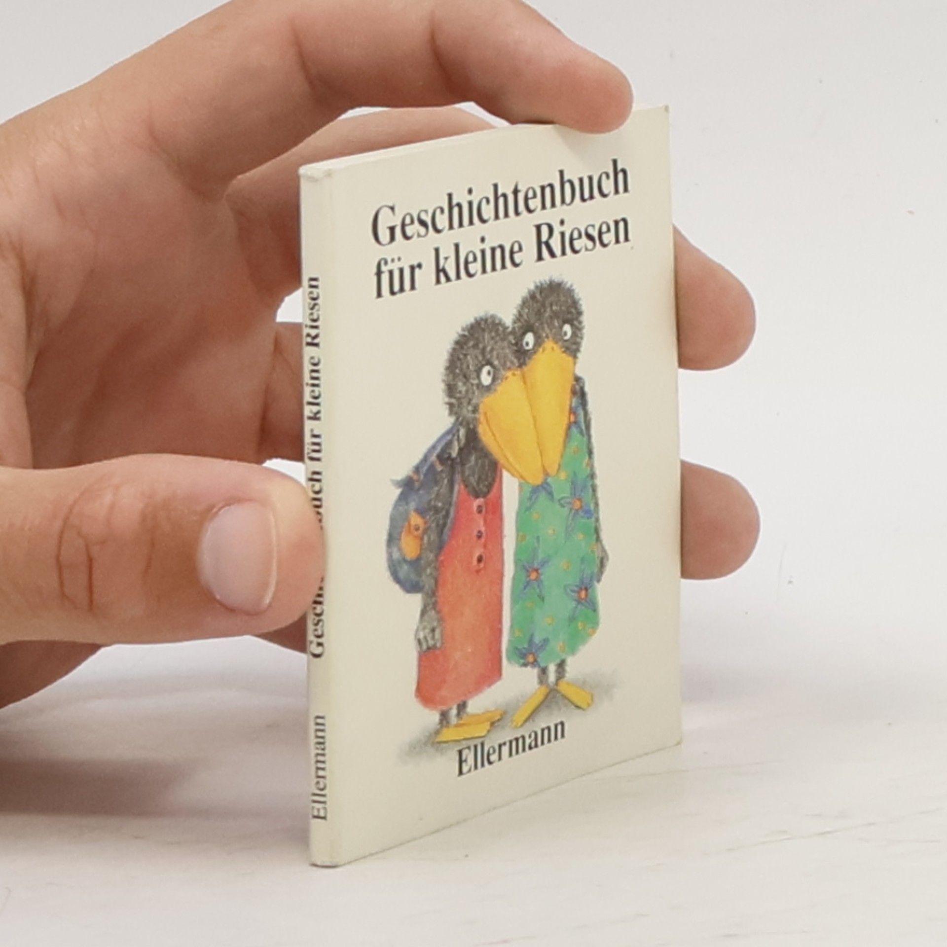 Sabine Brügel-Fritzen Geschichtenbuch für kleine Riesen