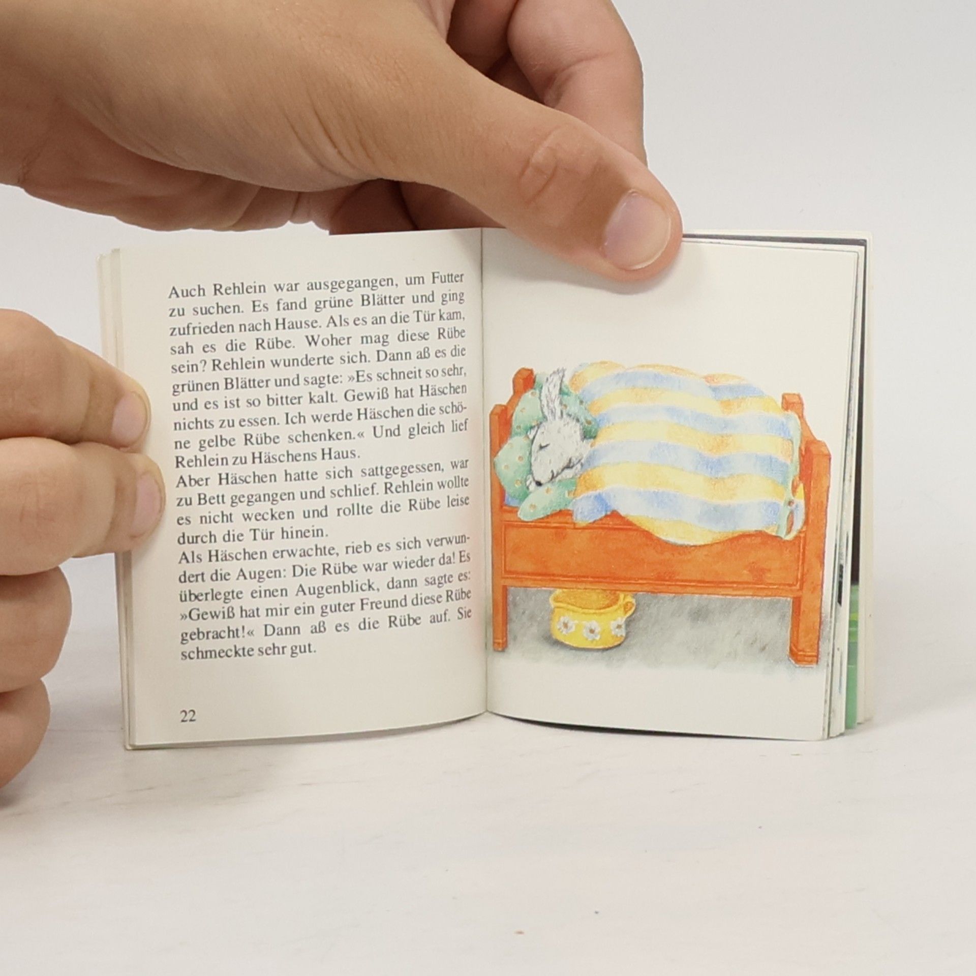 Sabine Brügel-Fritzen Geschichtenbuch für kleine Riesen