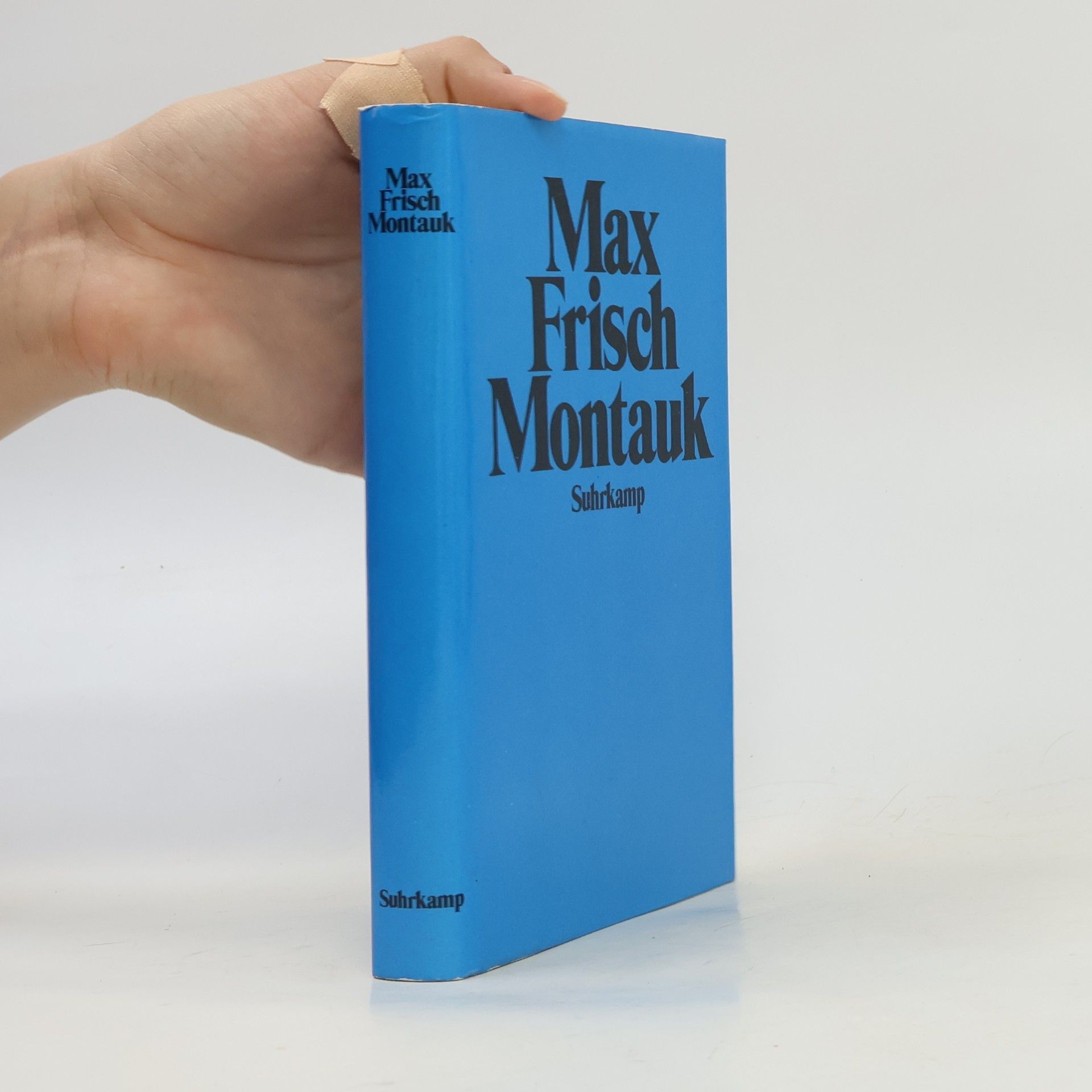Max Frisch Montauk