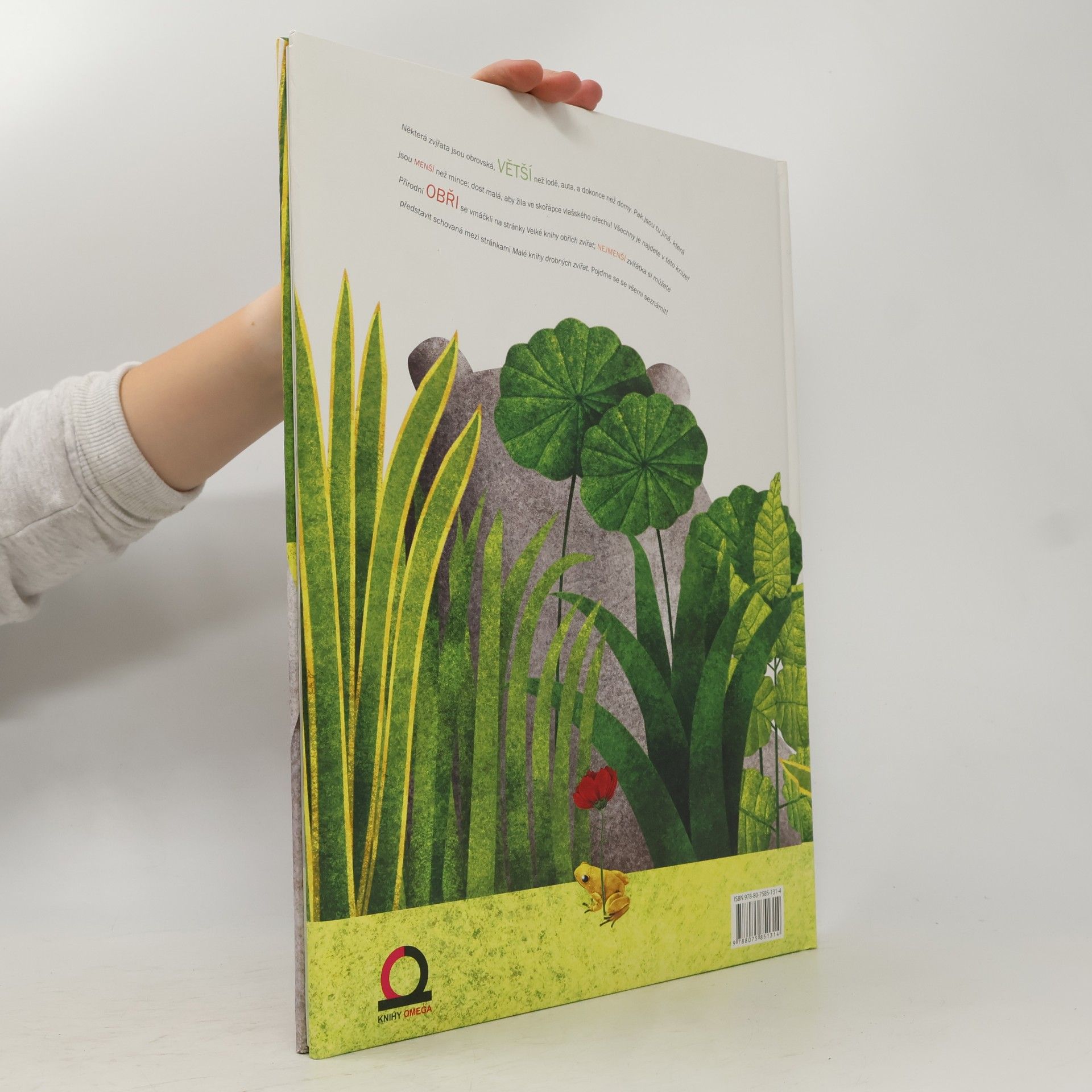 Autorenkollektiv Velká kniha obřích zvířat