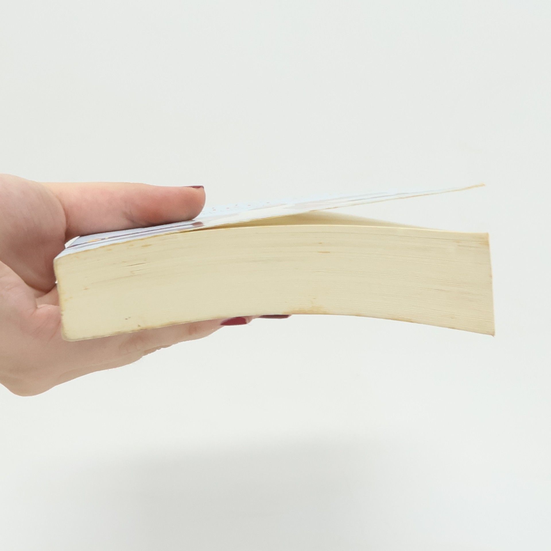 A. J. Jacobs Die Bibel & ich