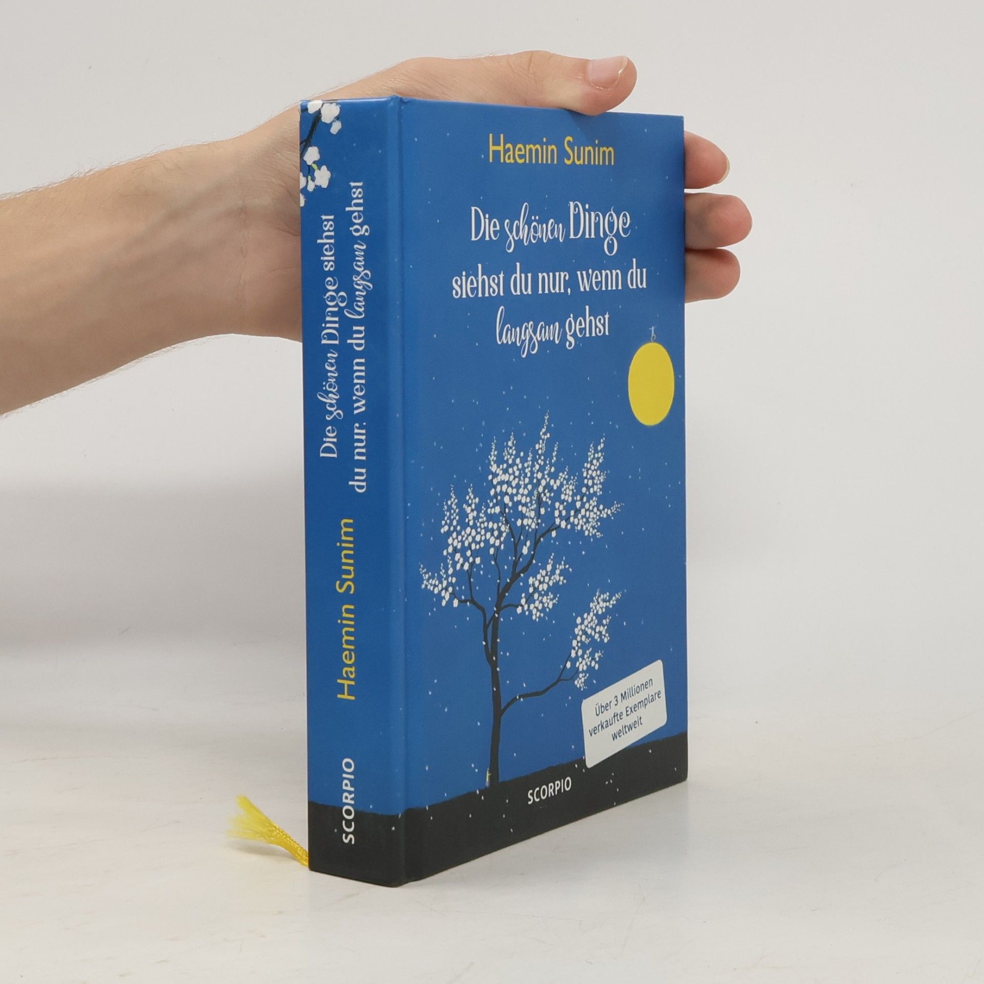 Haemin Die schönen Dinge siehst du nur, wenn du langsam gehst