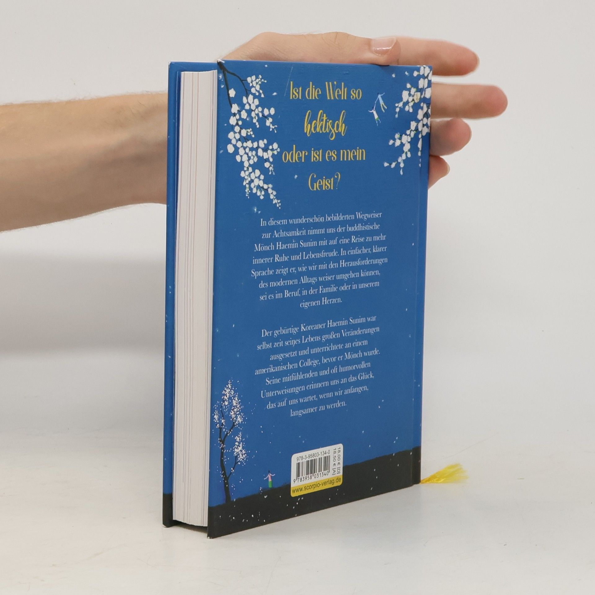 Haemin Die schönen Dinge siehst du nur, wenn du langsam gehst