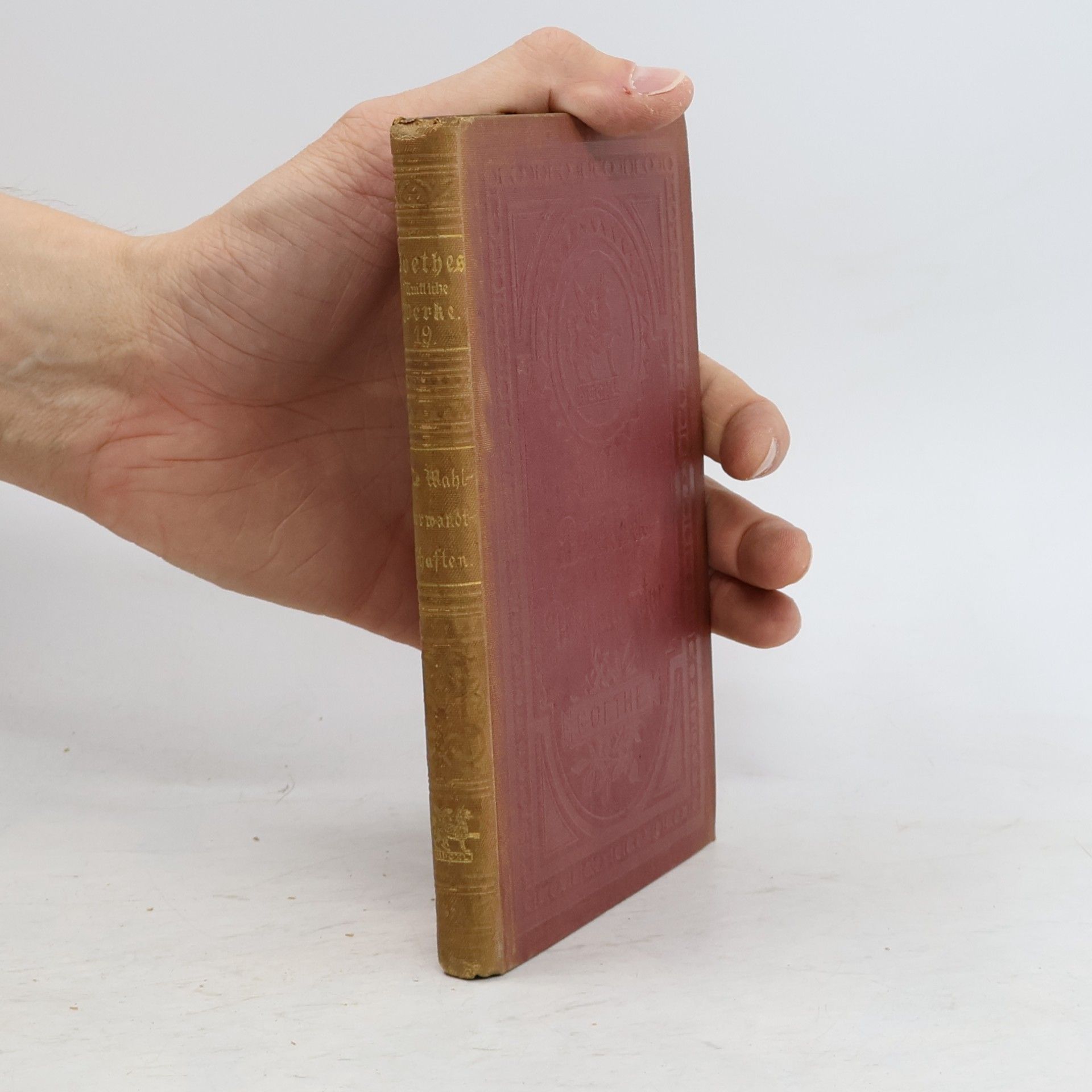 Goethes Sämtliche Werke 19