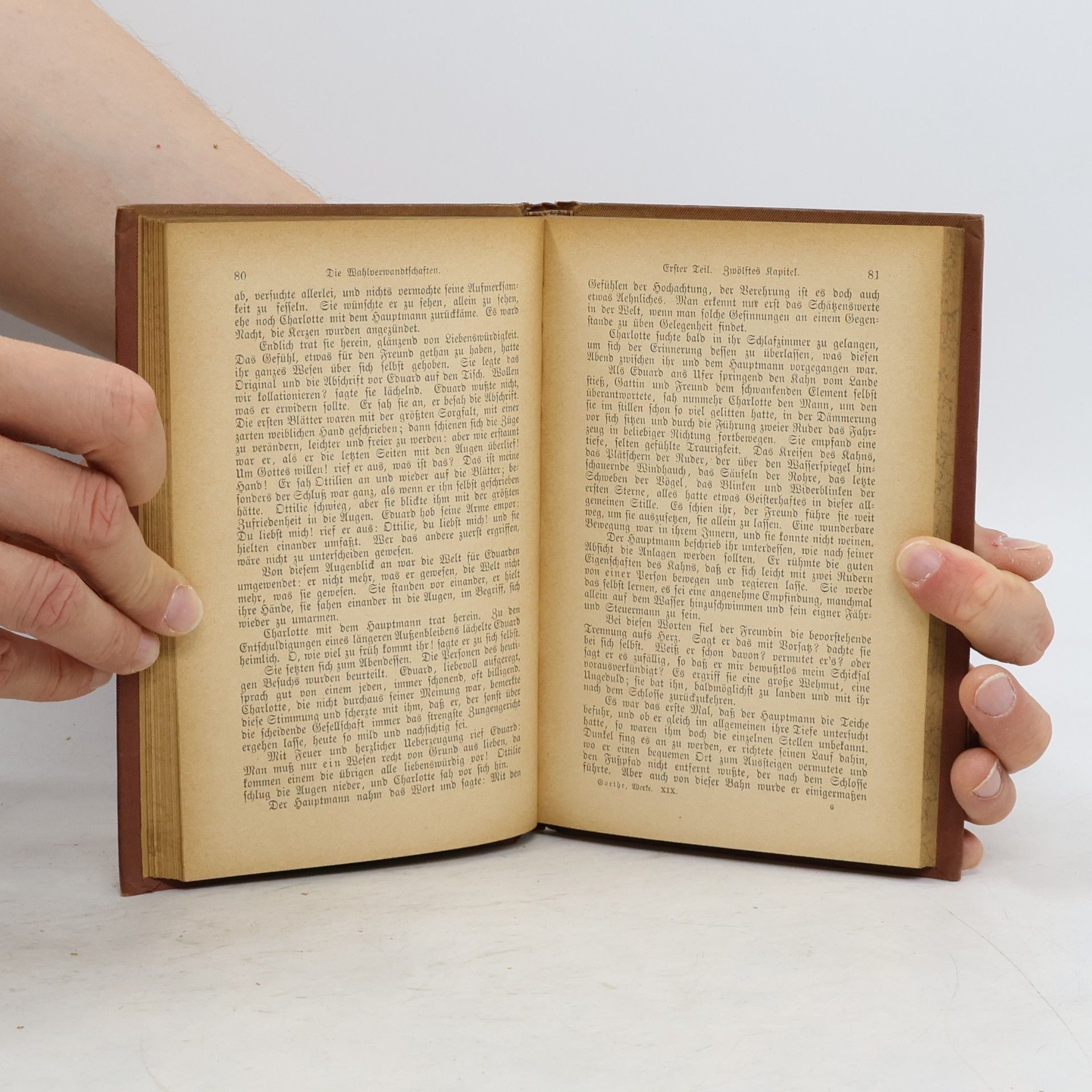 Johann Wolfgang von Goethe Goethes Sämtliche Werke 19