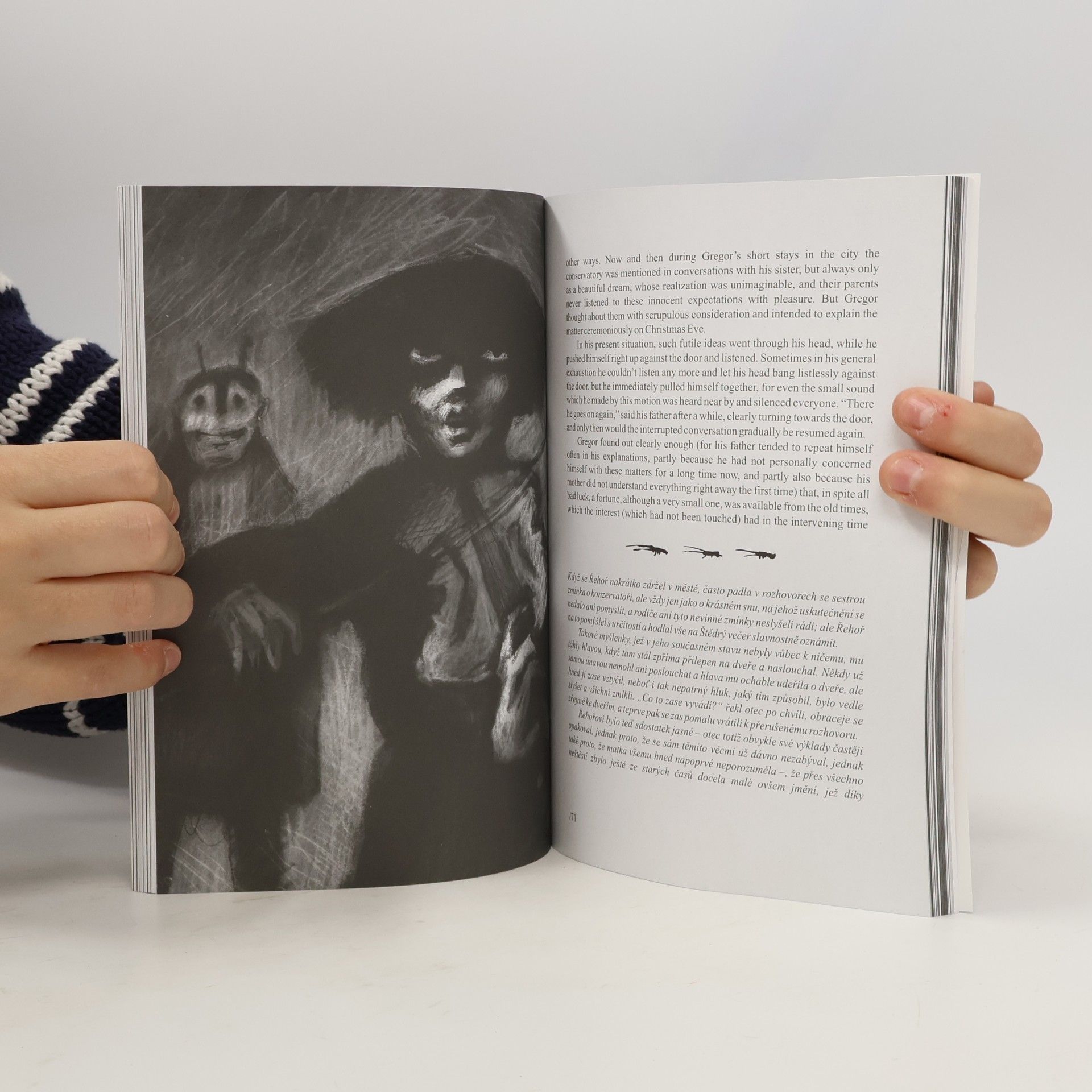 Franz Kafka Proměna / The Metamorphosis