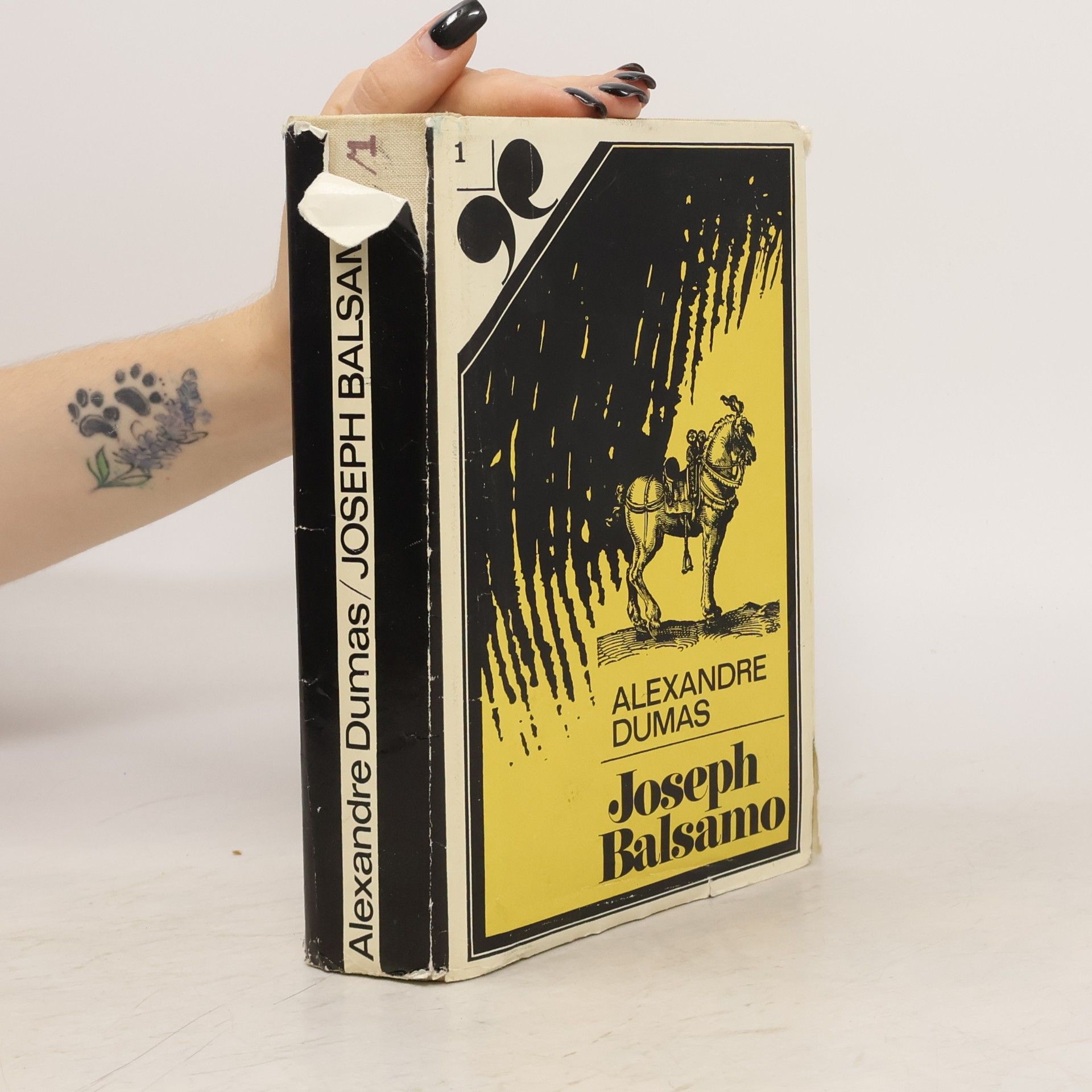 Alexandre Dumas der Ältere Joseph Balsamo 1