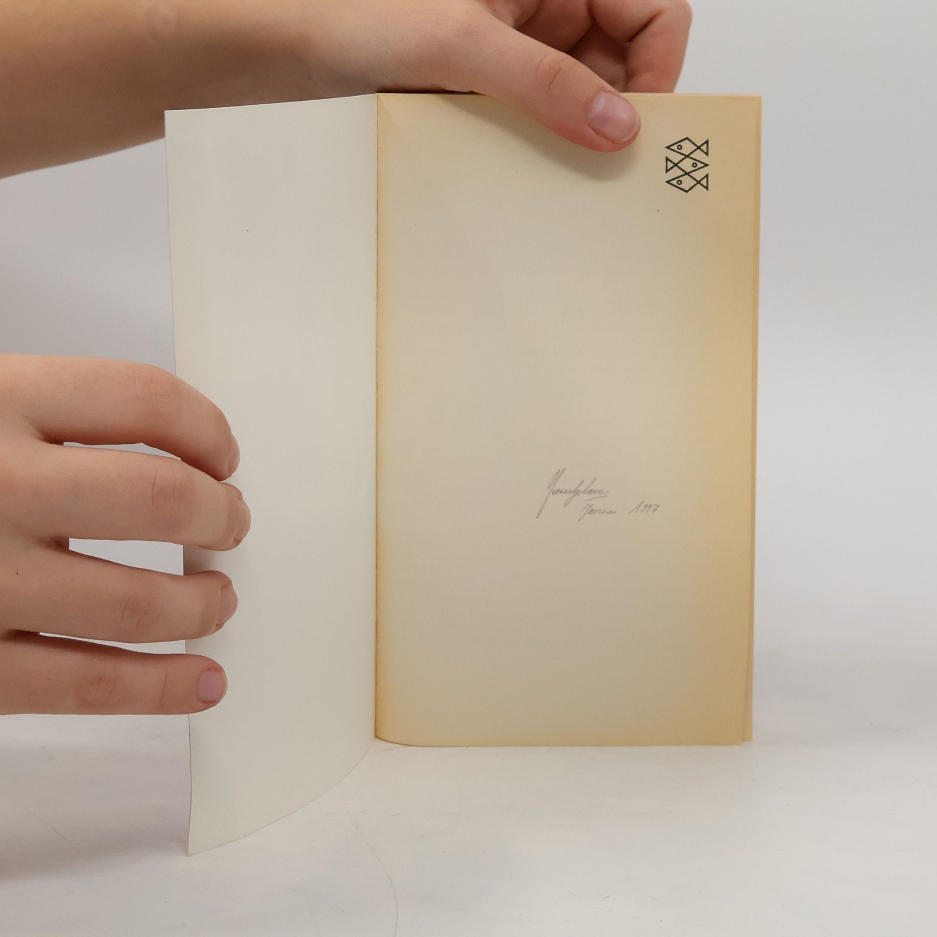 Sylvia Plath Die Bibel der Träume