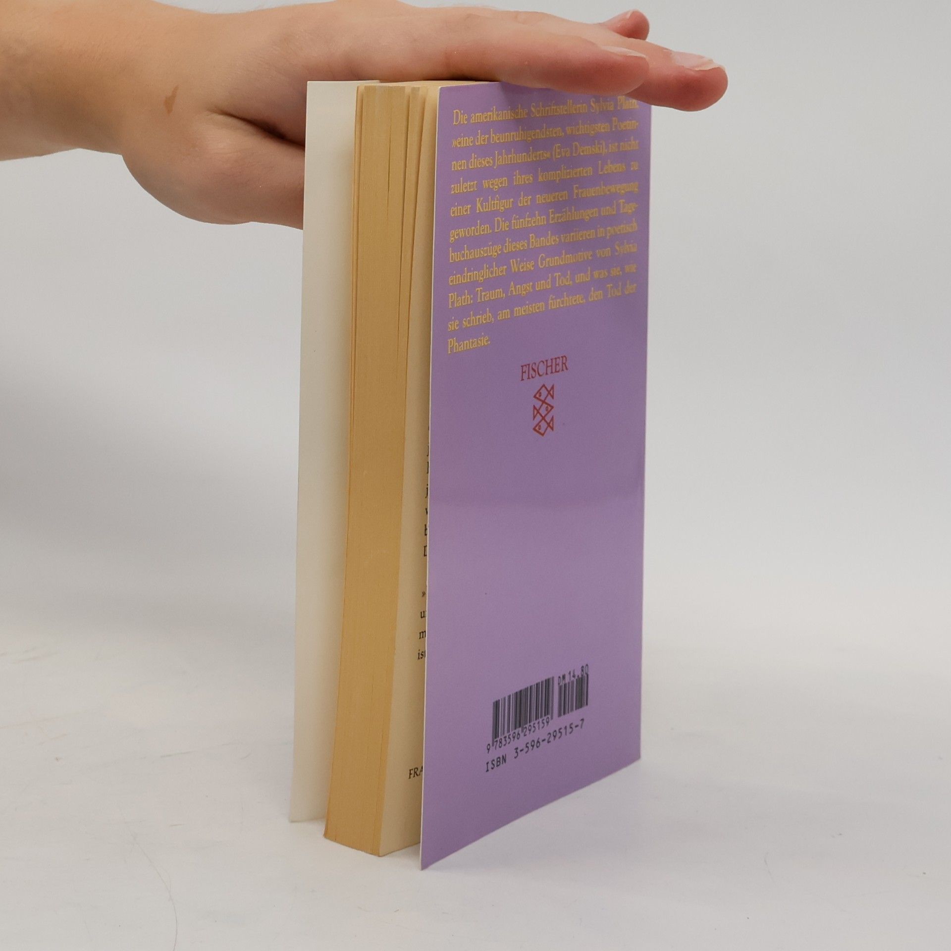 Sylvia Plath Die Bibel der Träume