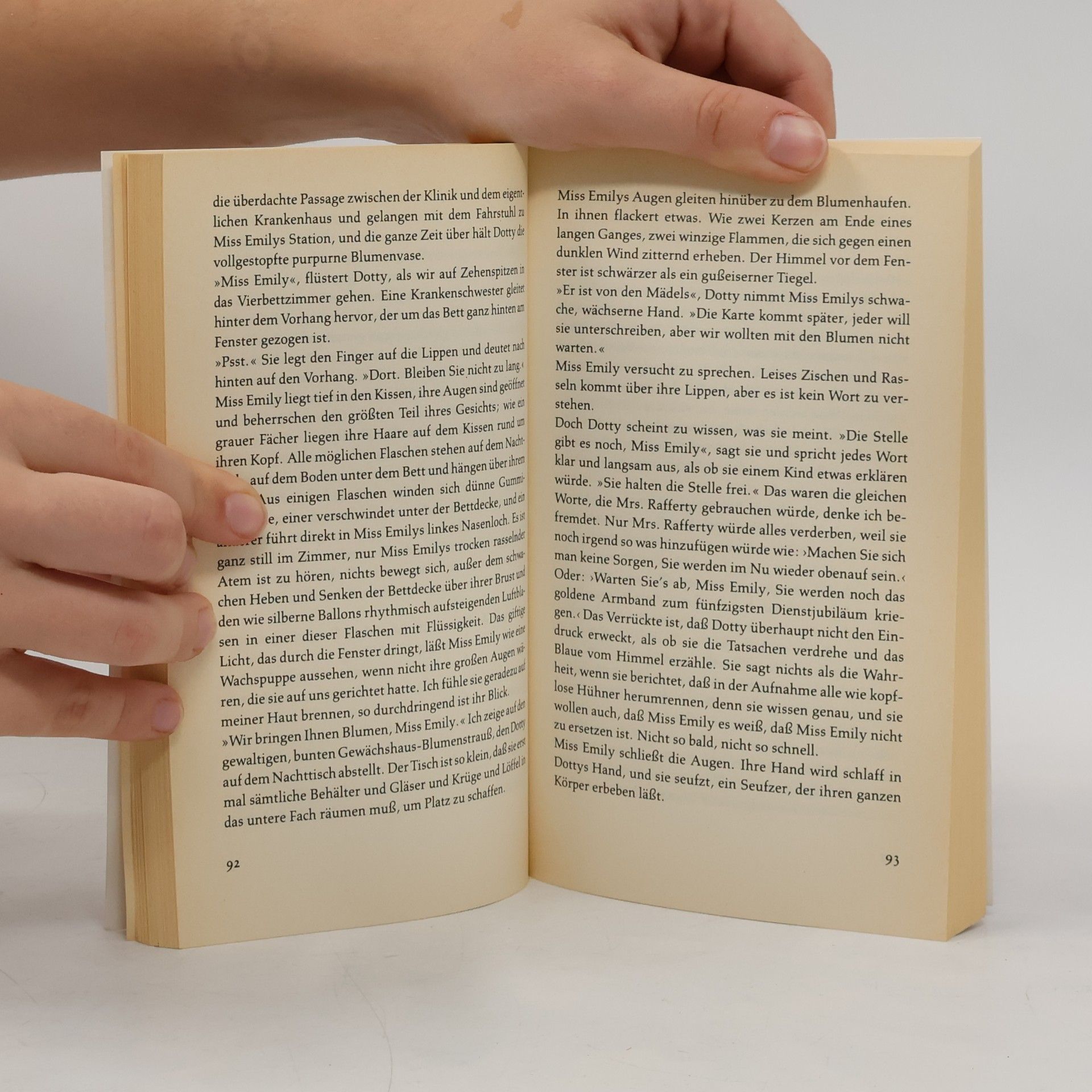 Sylvia Plath Die Bibel der Träume
