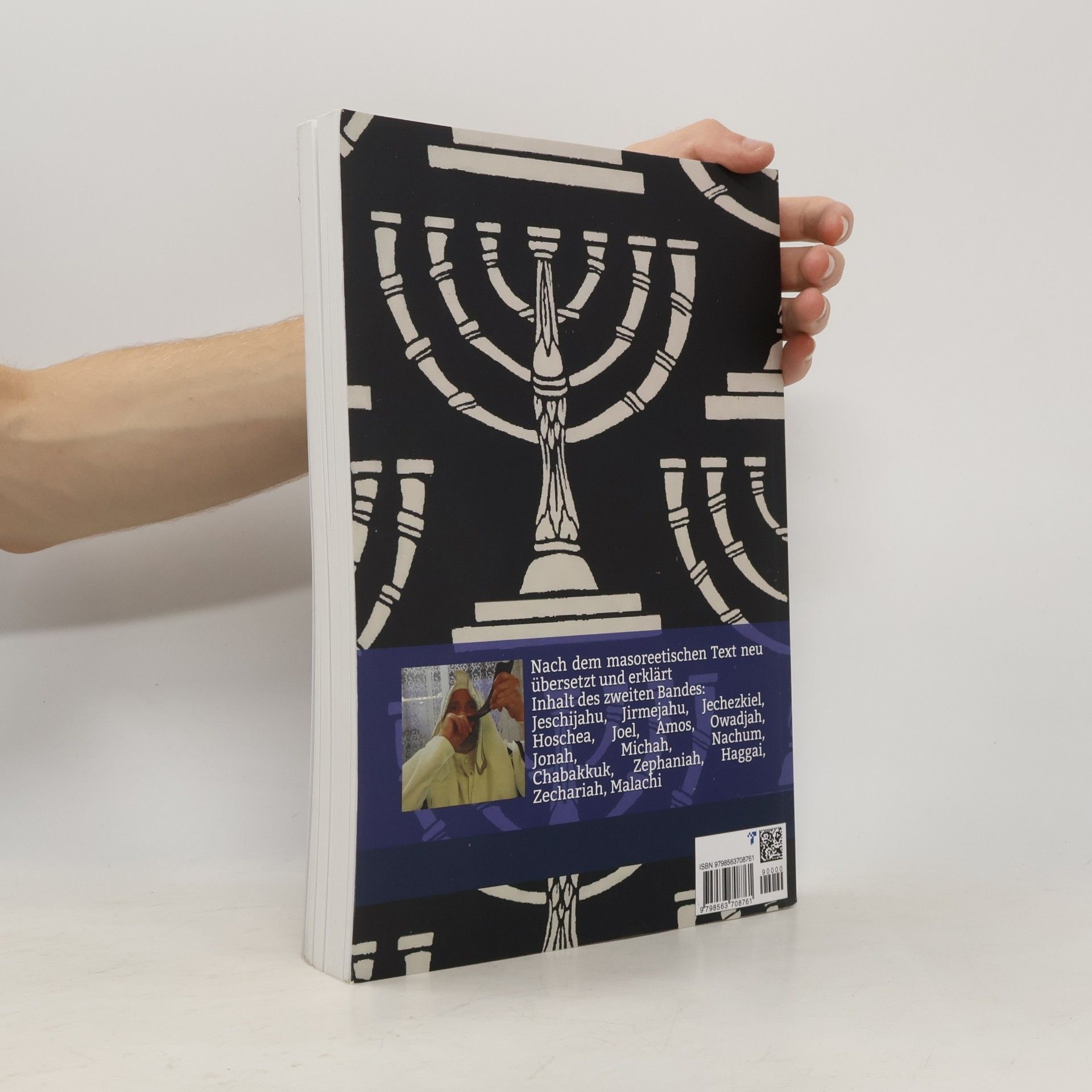 Zadoq Ben Aahron תורה נביאים וכתובים Die Heilige Schrift Band 2