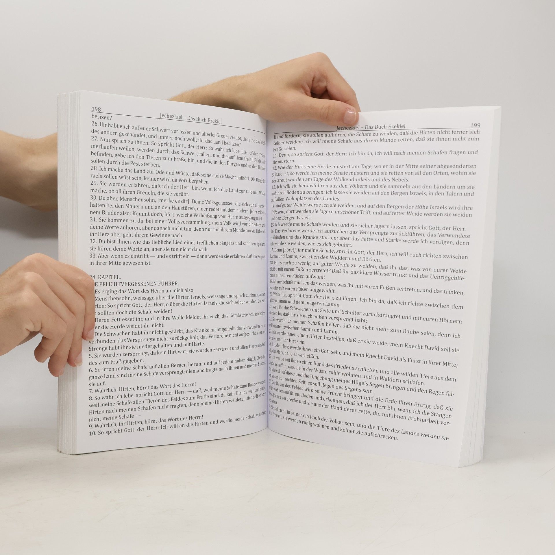 Zadoq Ben Aahron תורה נביאים וכתובים Die Heilige Schrift Band 2