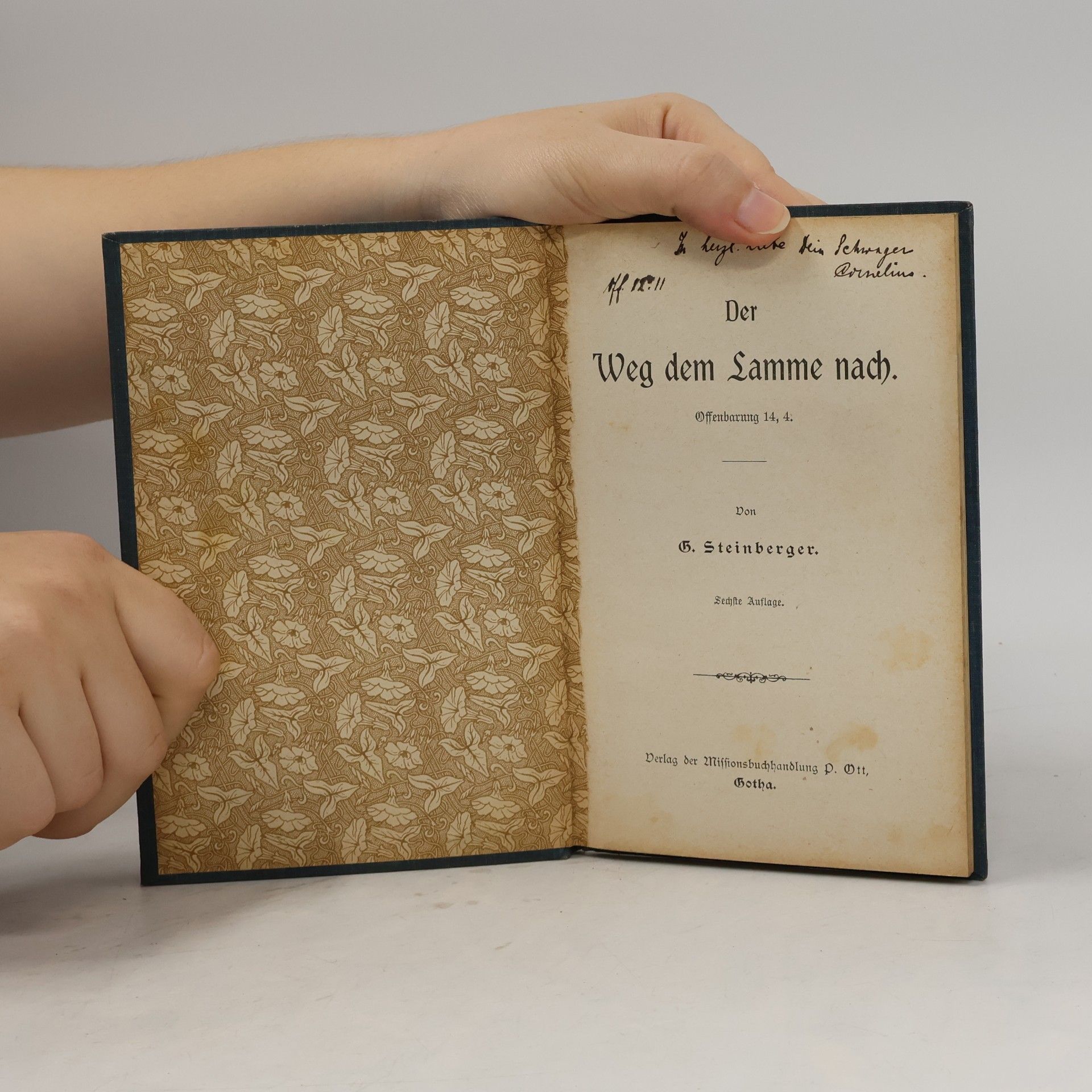 Georg Steinberger Der Weg dem Lamme nach