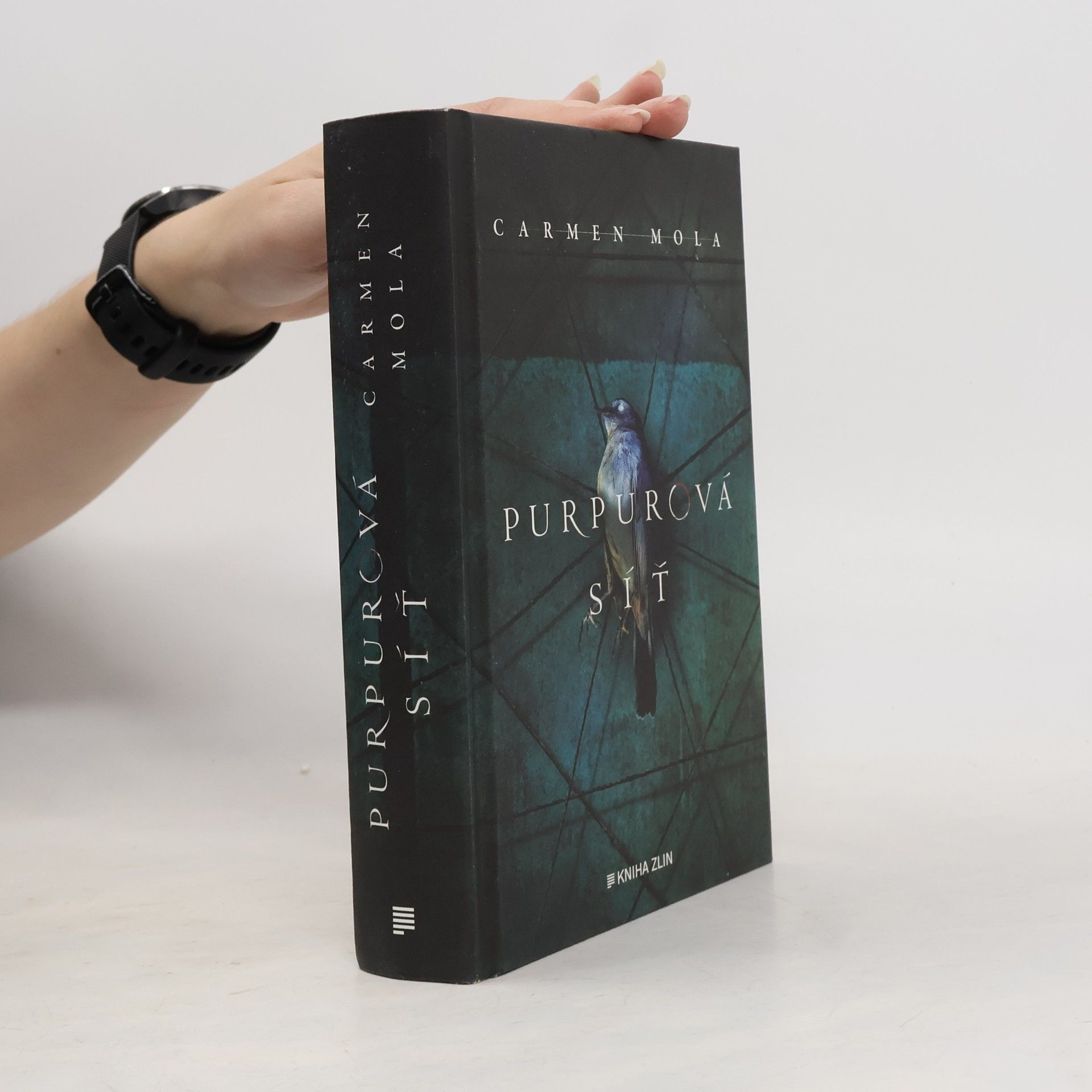 Carmen Mola Purpurová síť