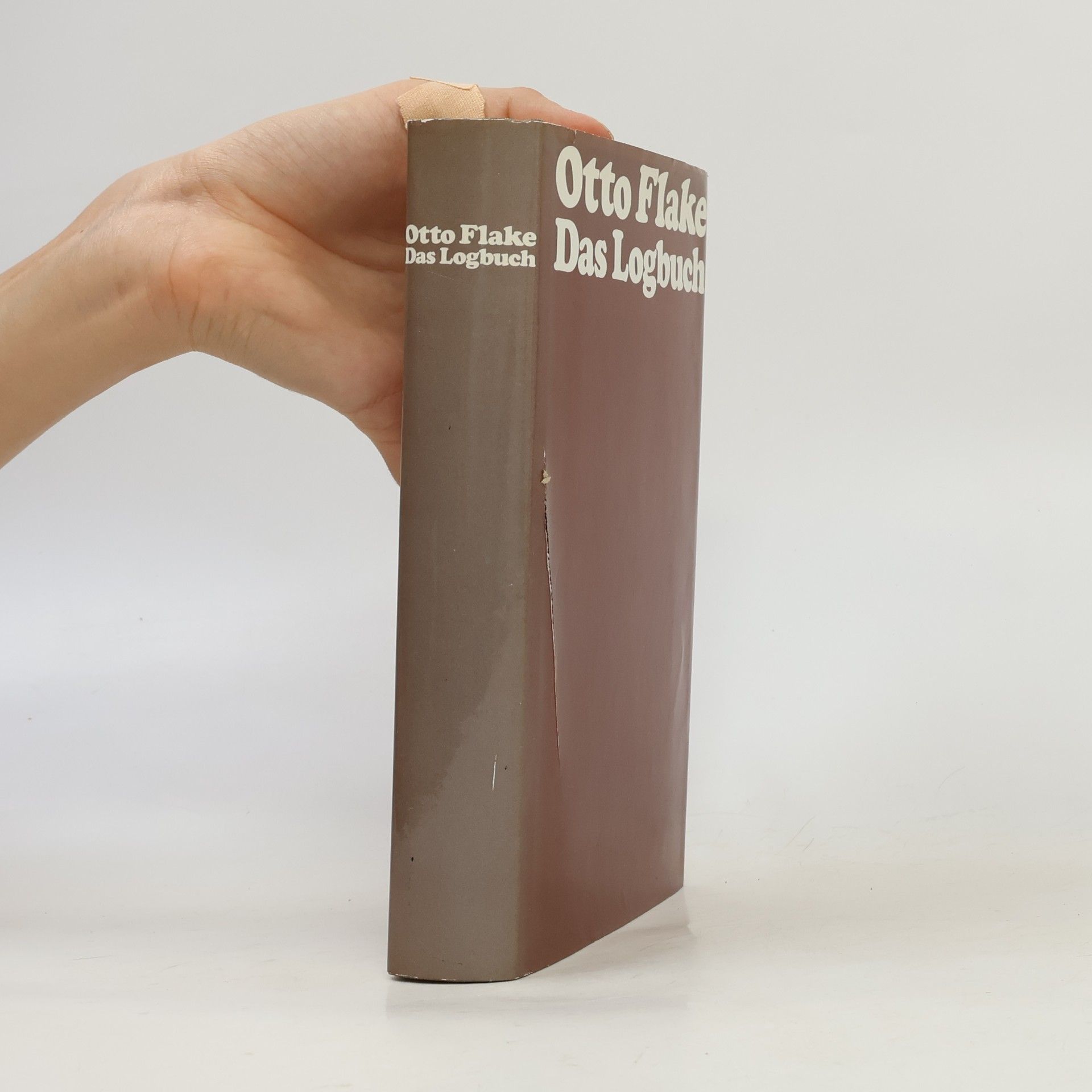 Otto Flake Das Logbuch