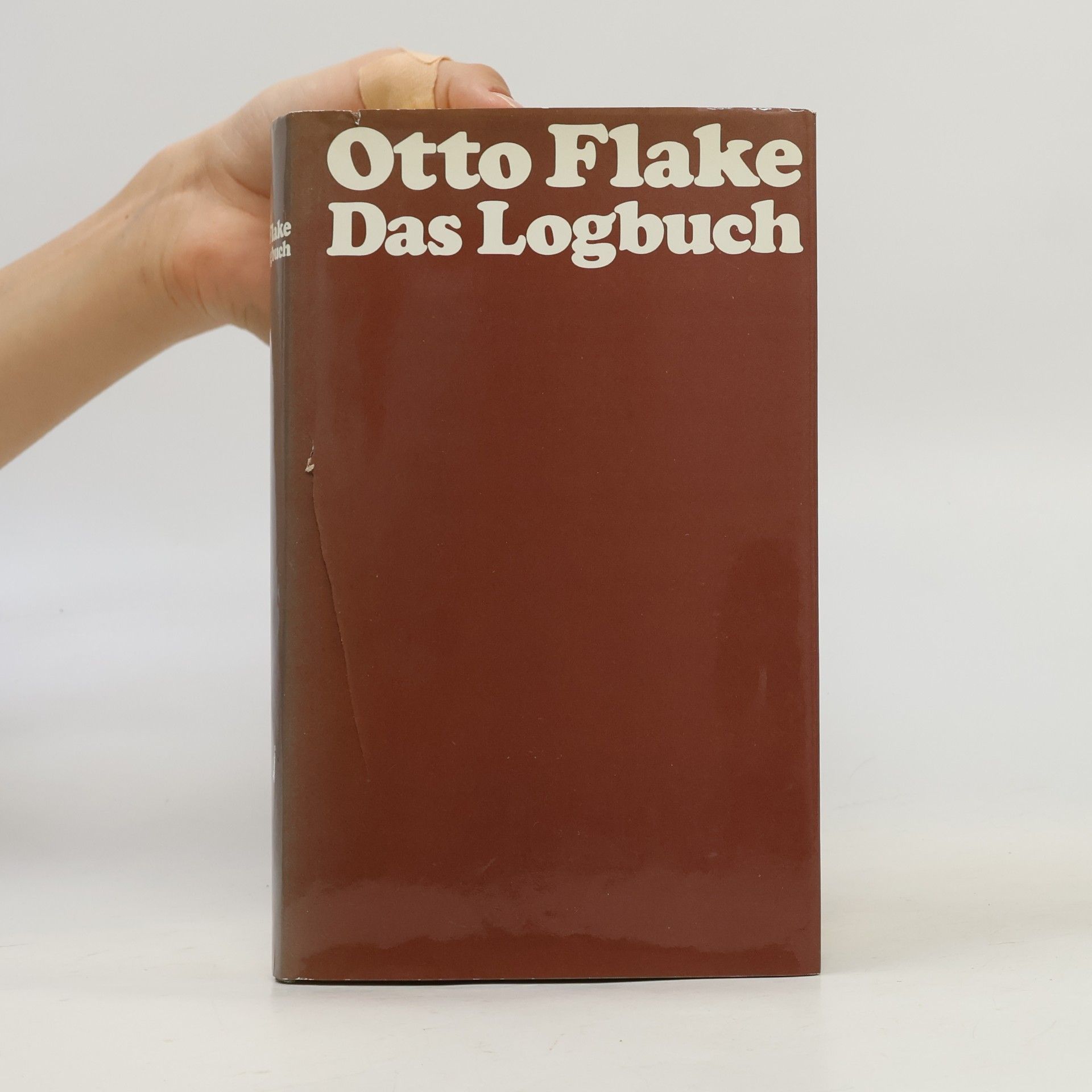 Otto Flake Das Logbuch
