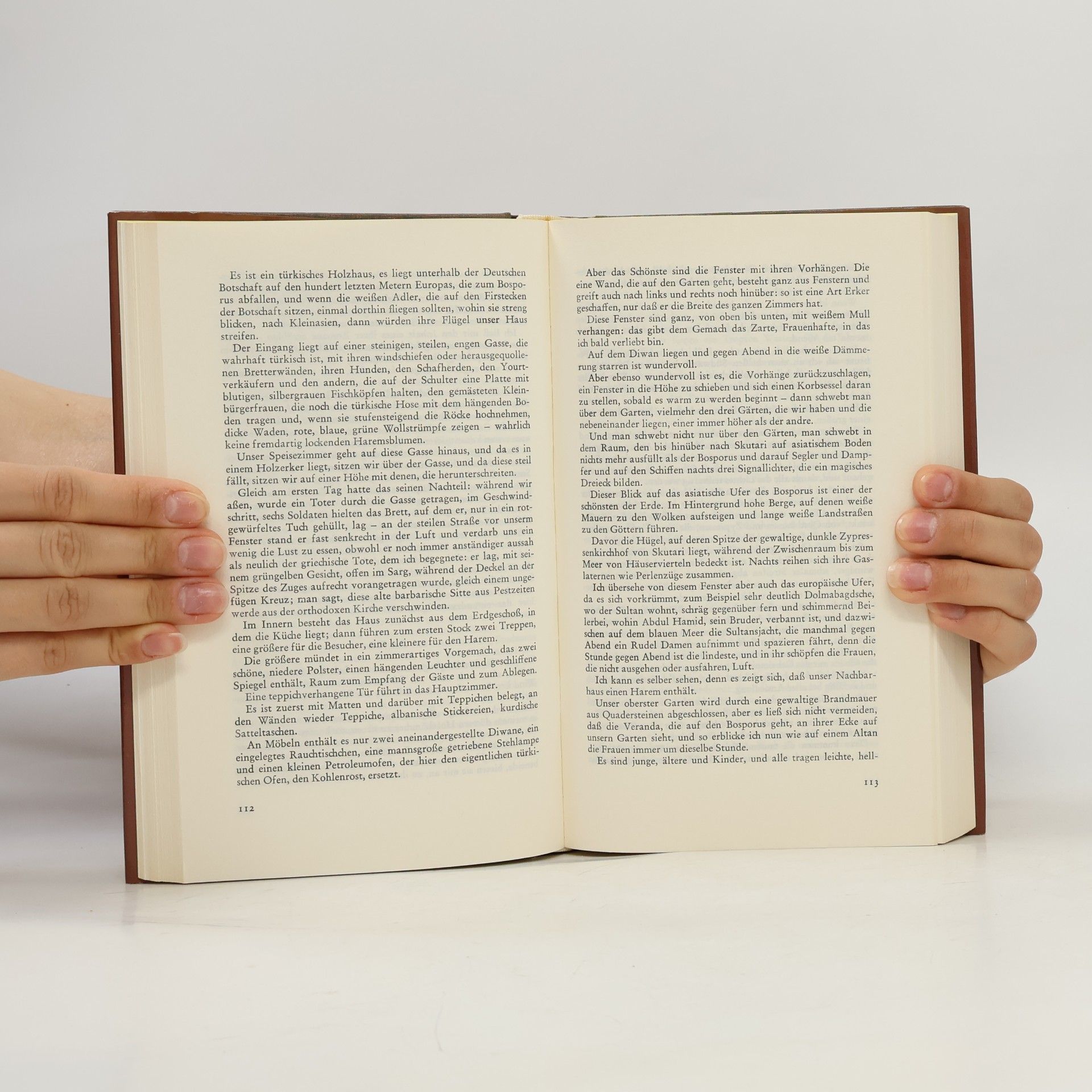 Otto Flake Das Logbuch