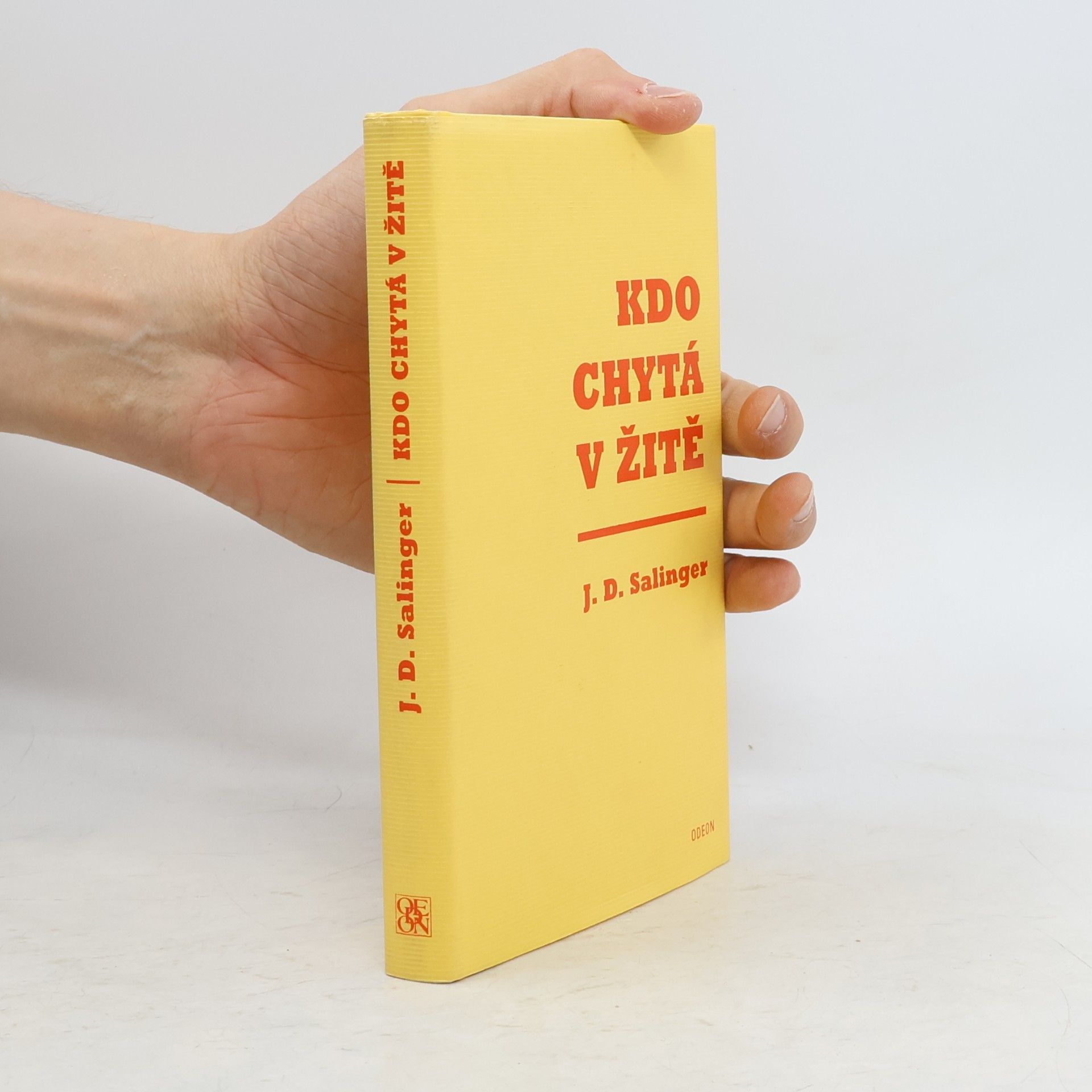 J. D. Salinger Kdo chytá v žitě