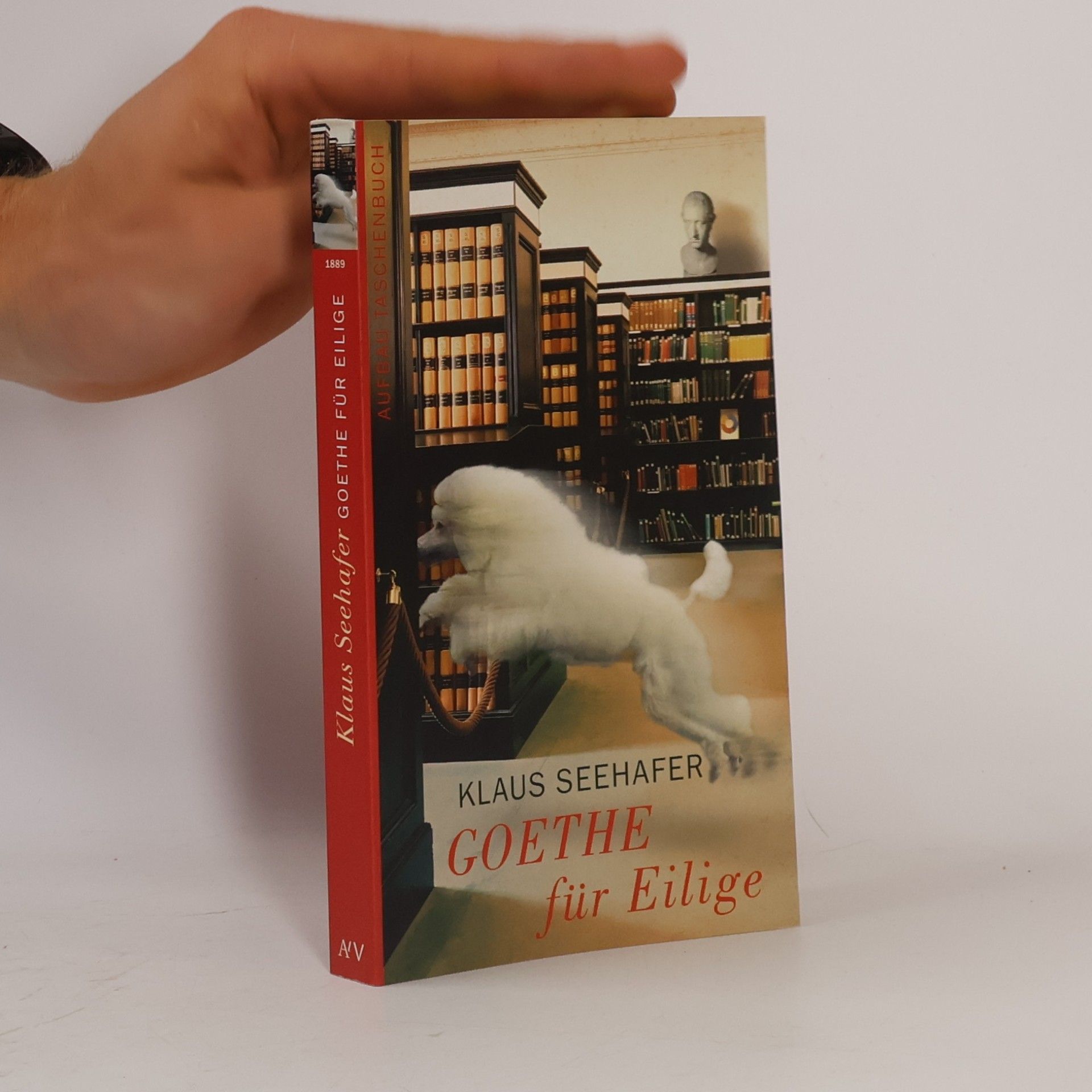 Goethe für Eilige