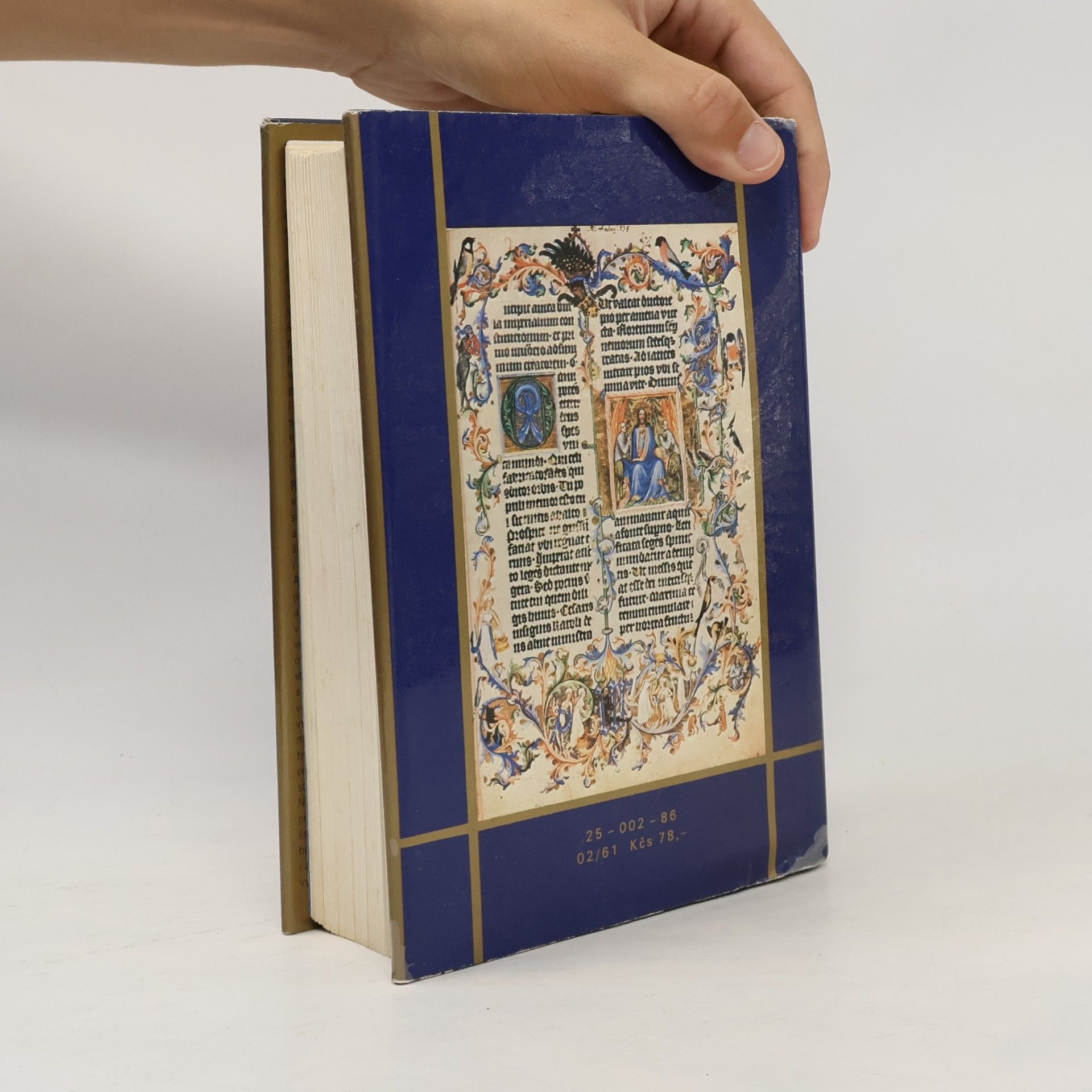 Jiří Spěváček Václav IV. 1361-1419
