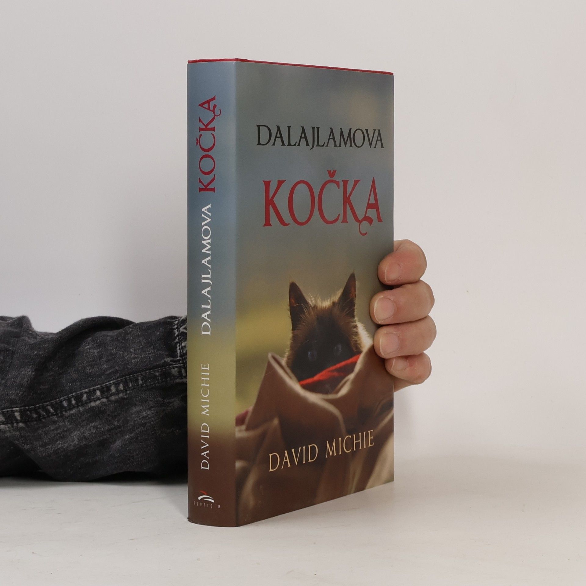 David Michie Dalajlamova kočka