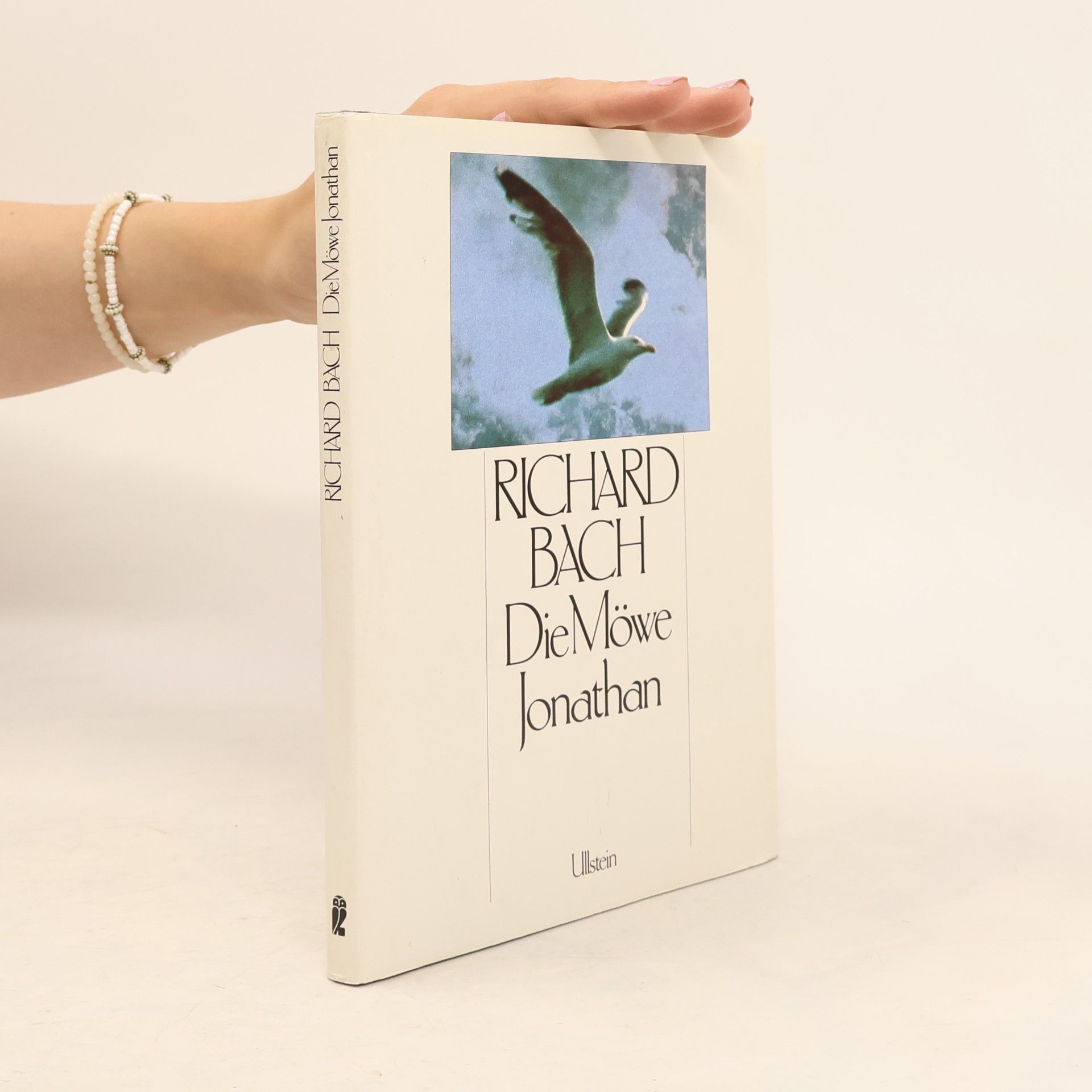 Richard Bach Die Möwe Jonathan