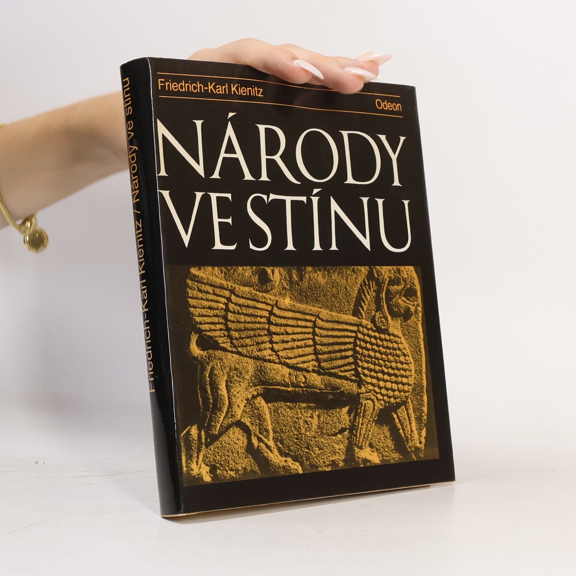 Friedrich Karl Kienitz Národy ve stínu