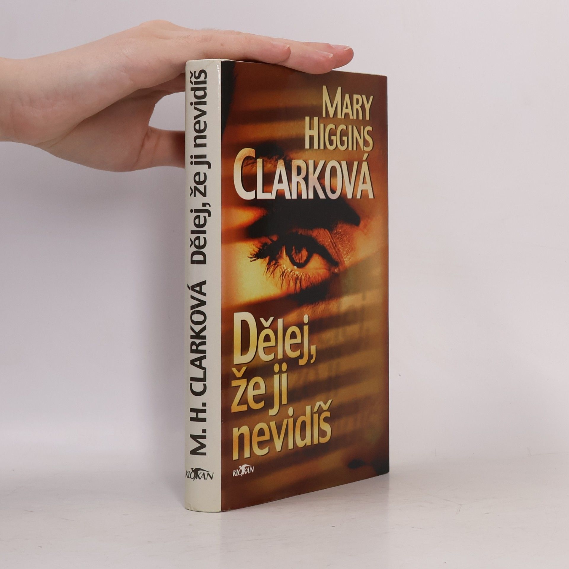 Mary Higginsová Clarková Dělej, že ji nevidíš