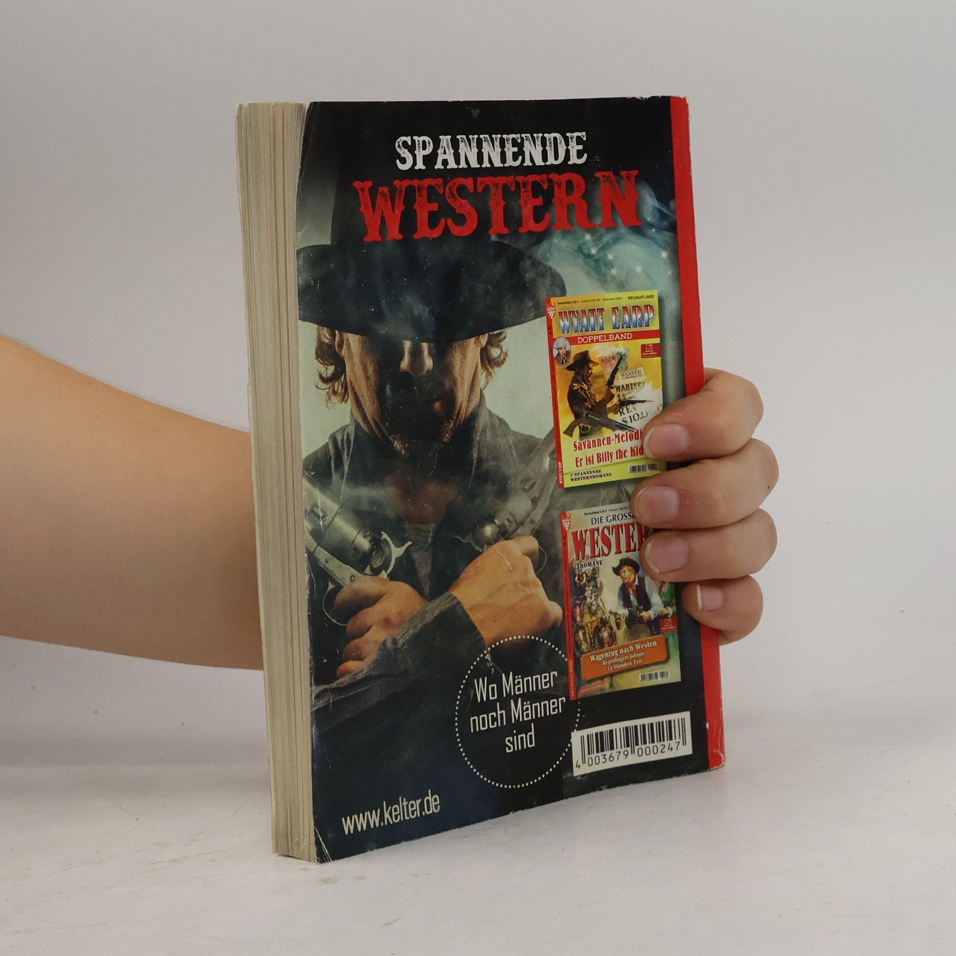 R. F. Garner Wild West Roman Sammelband 167