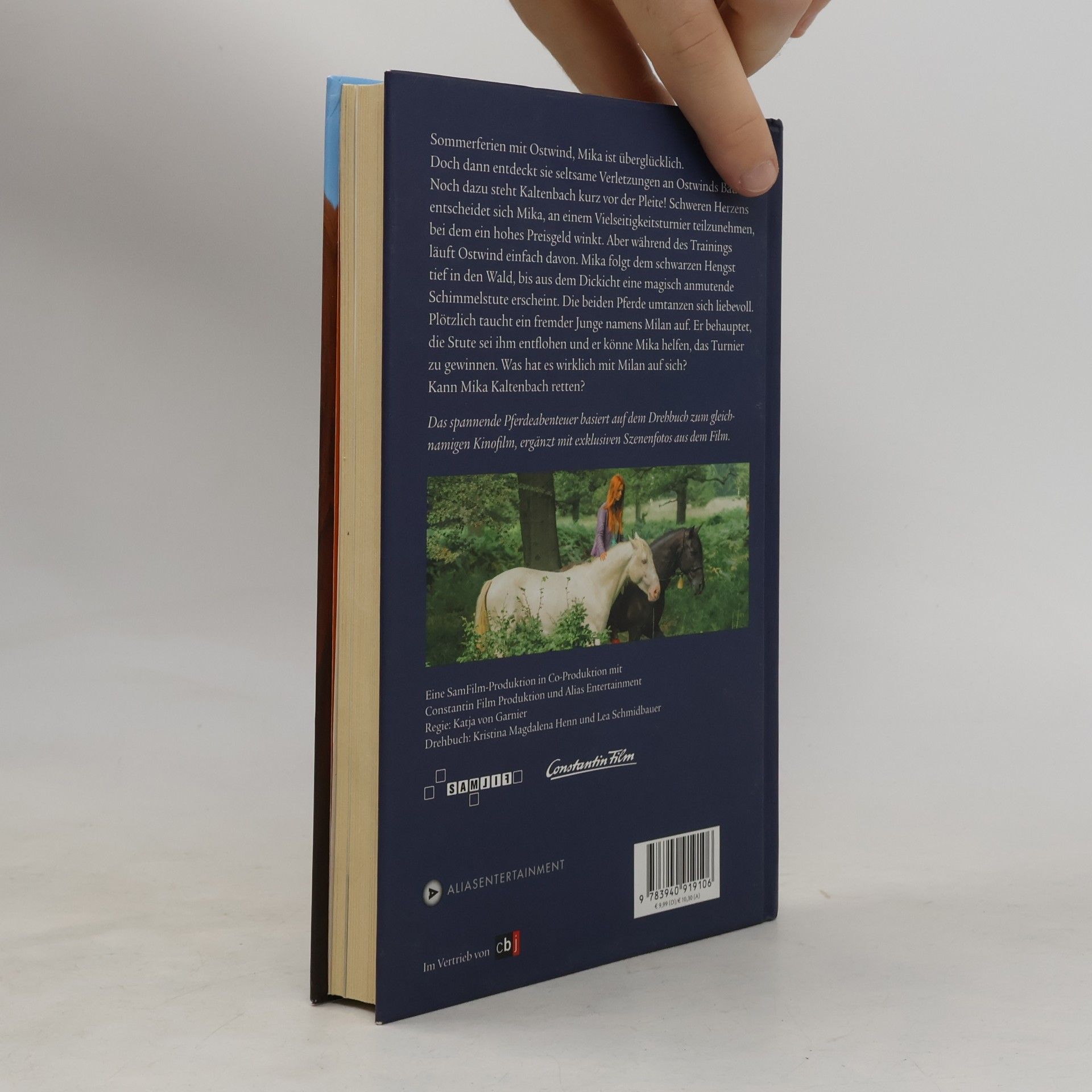 Kristina Magdalena Henn Ostwind 2 - Das Buch zum Film